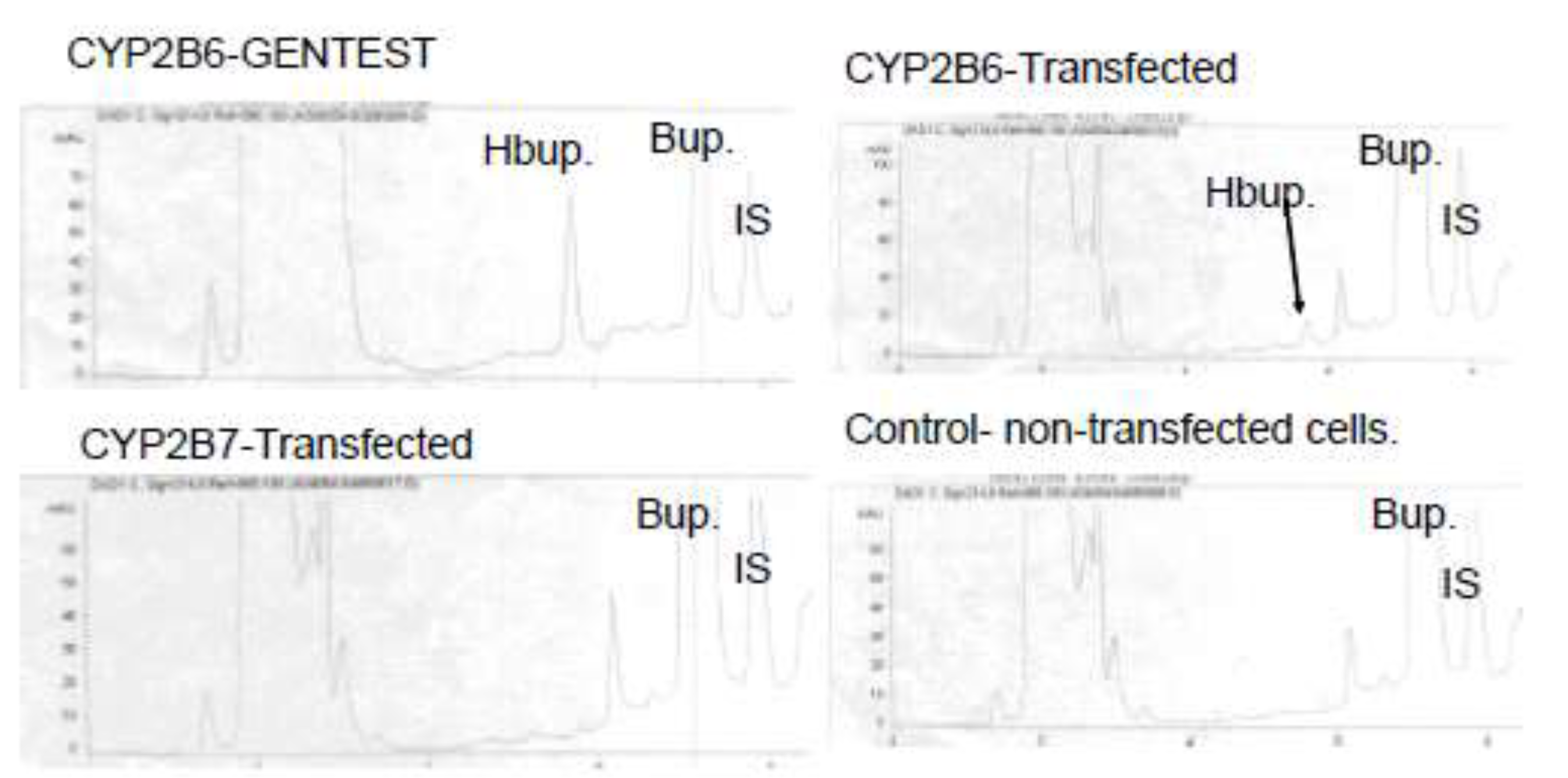 Preprints 199564 g007