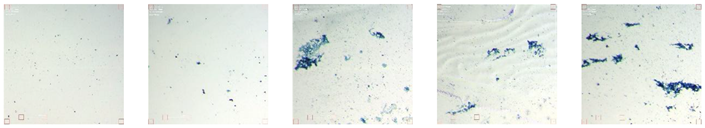 Preprints 176842 i011