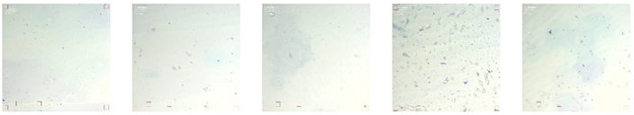 Preprints 176842 i012