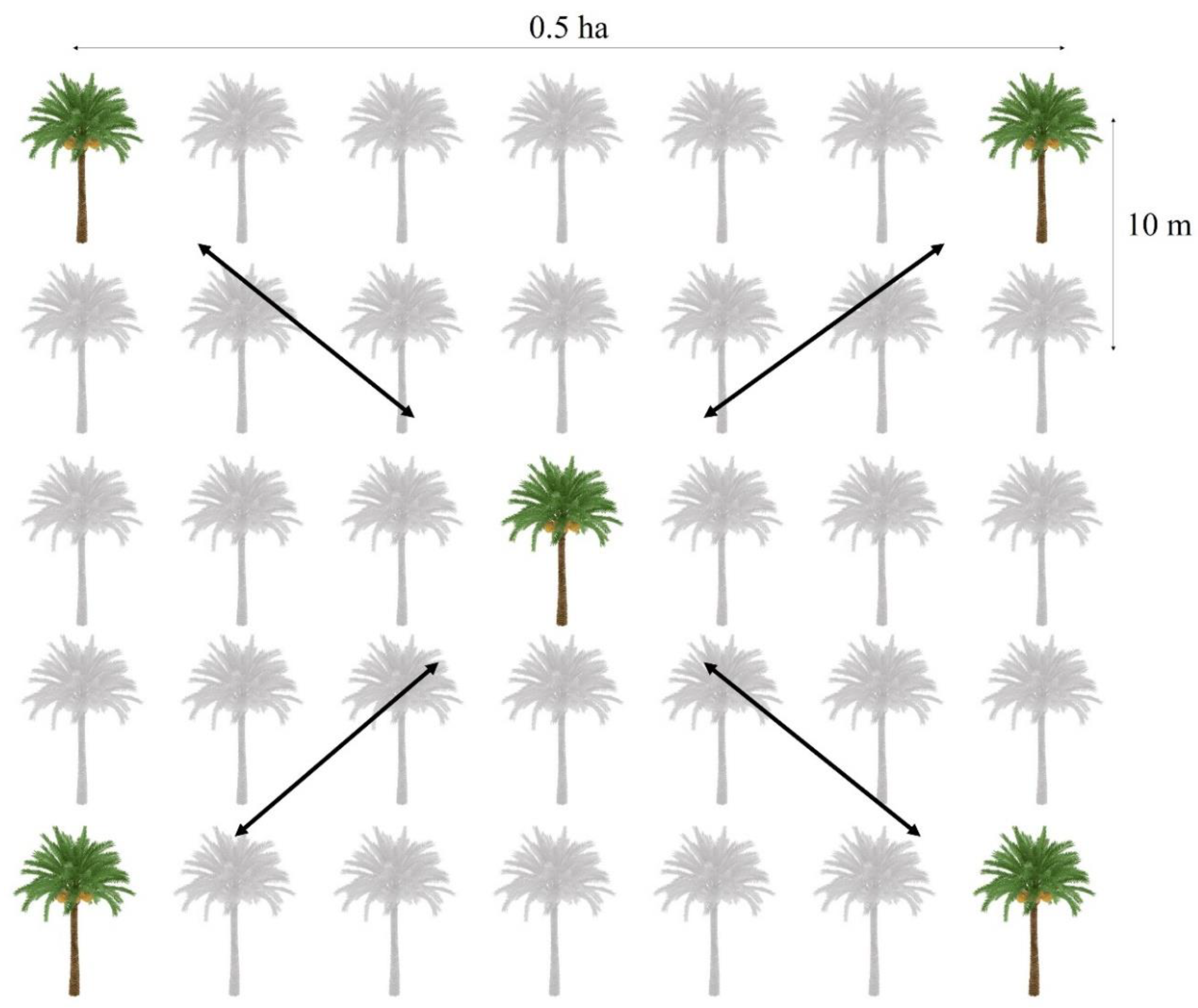 Preprints 70544 g002