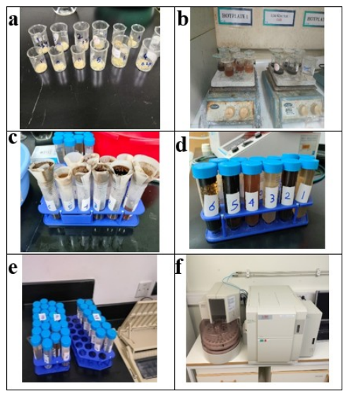 Preprints 232648 g002 Preprints 232648 g002