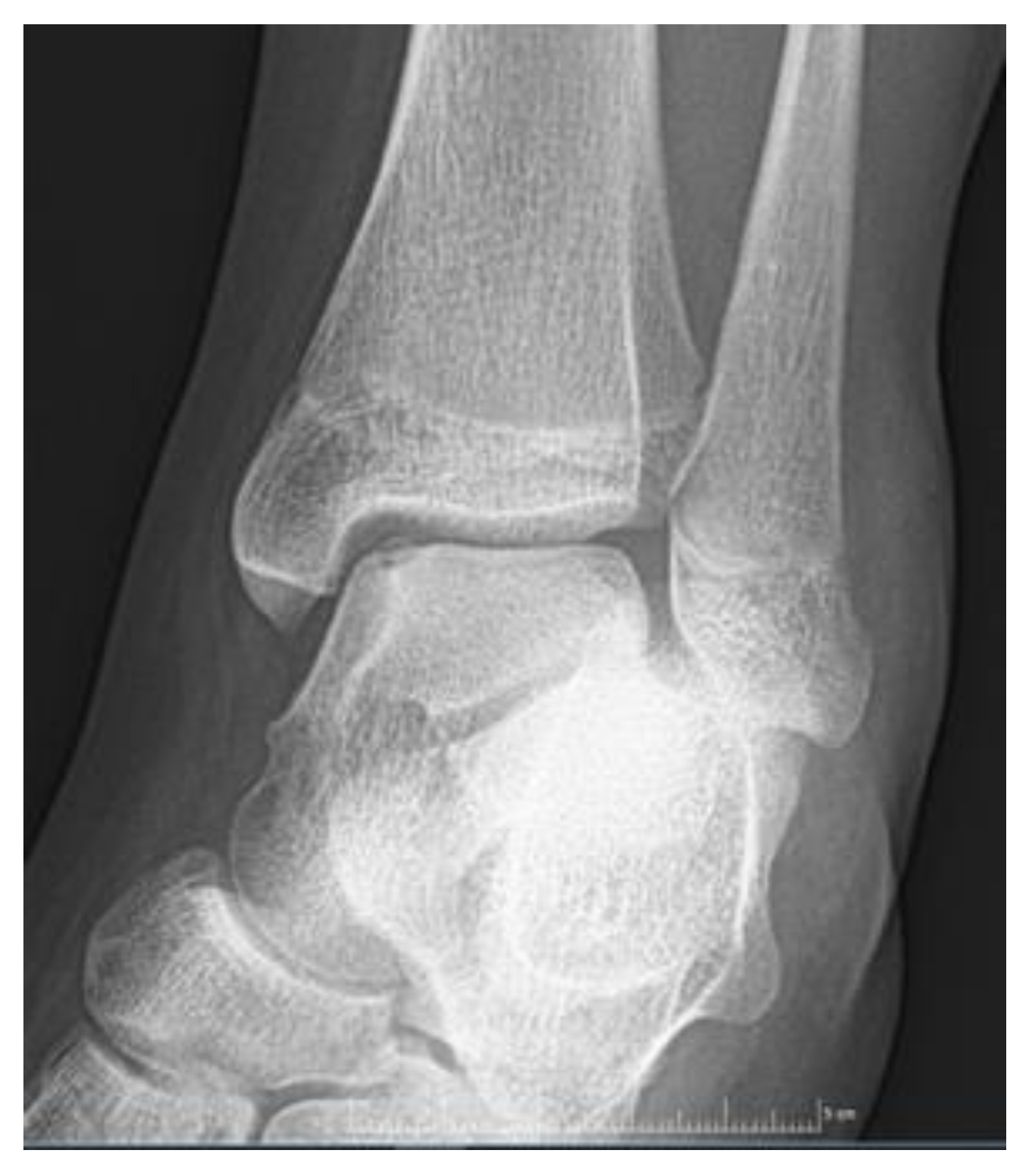 Preprints 114146 g001