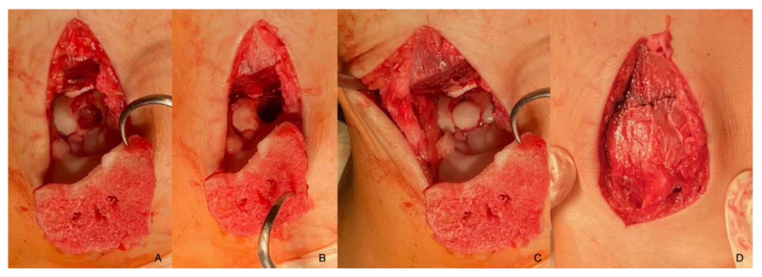 Preprints 114146 g004