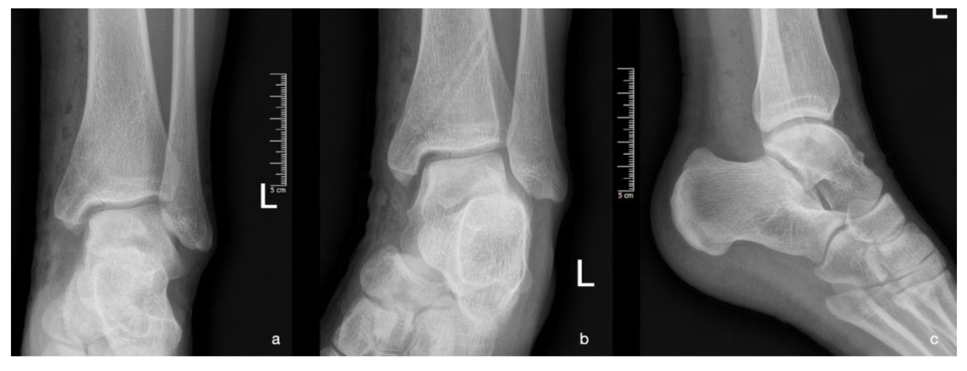 Preprints 114146 g005