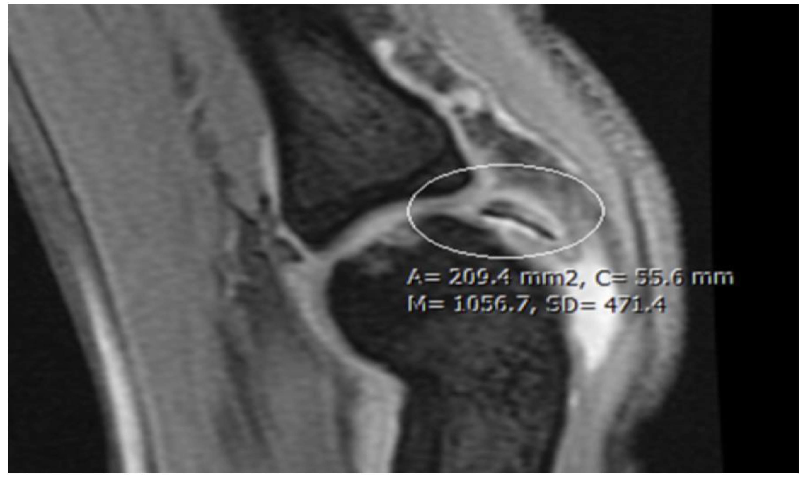 Preprints 114146 g006