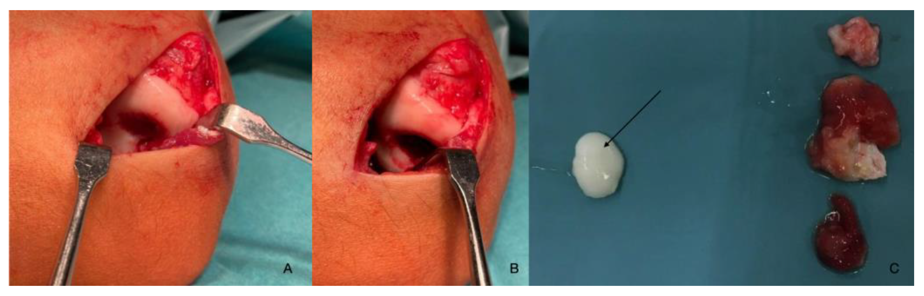 Preprints 114146 g007