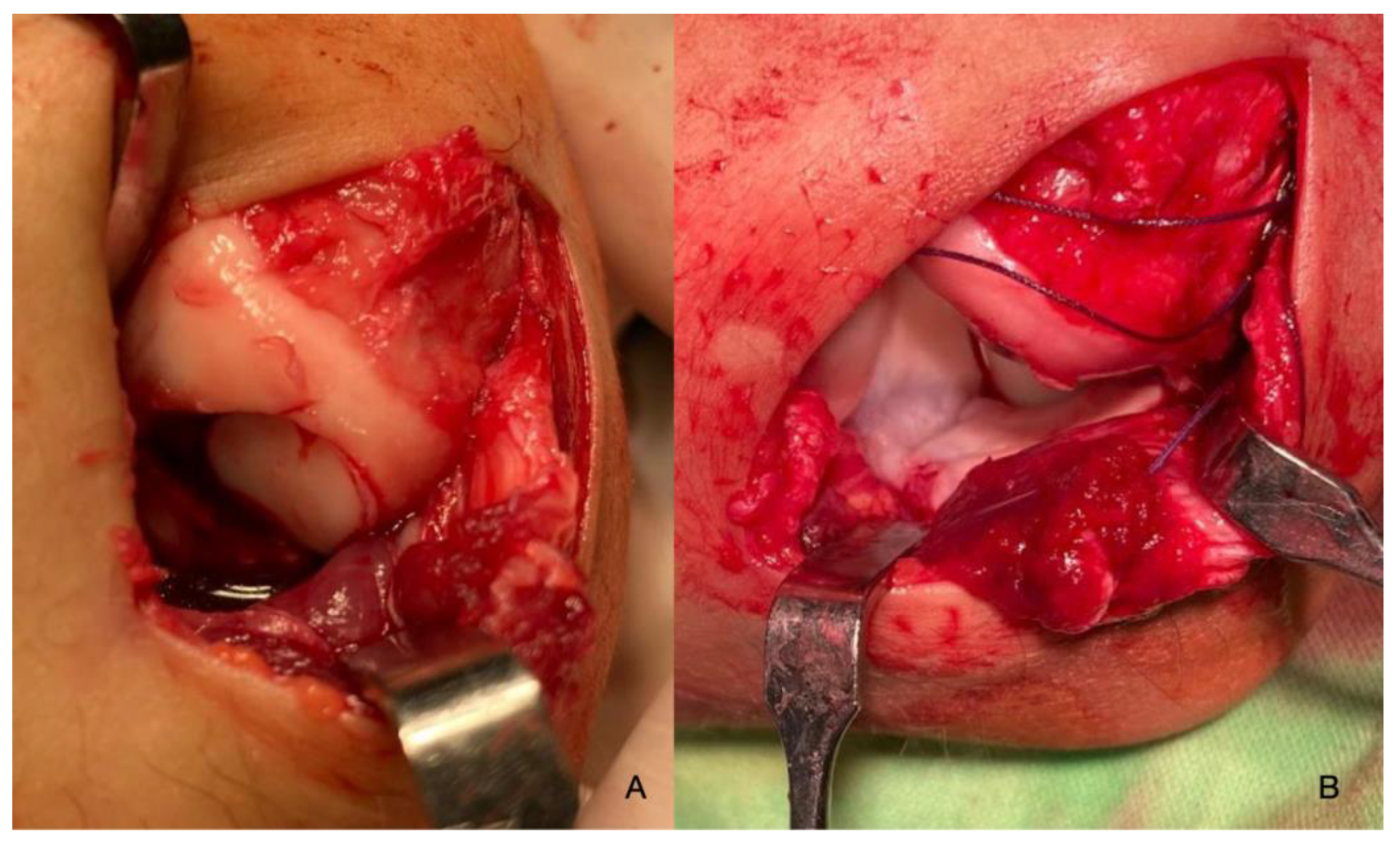 Preprints 114146 g008