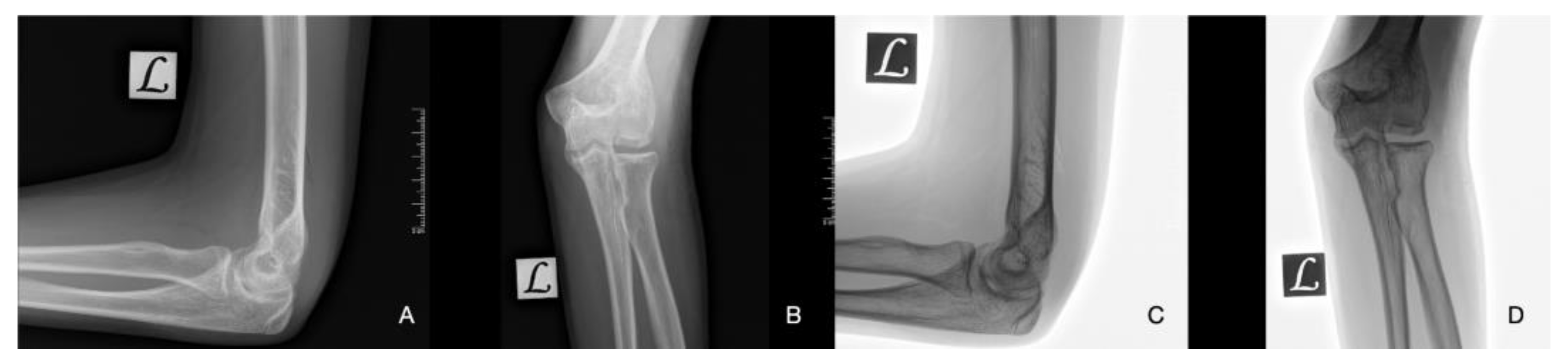 Preprints 114146 g009