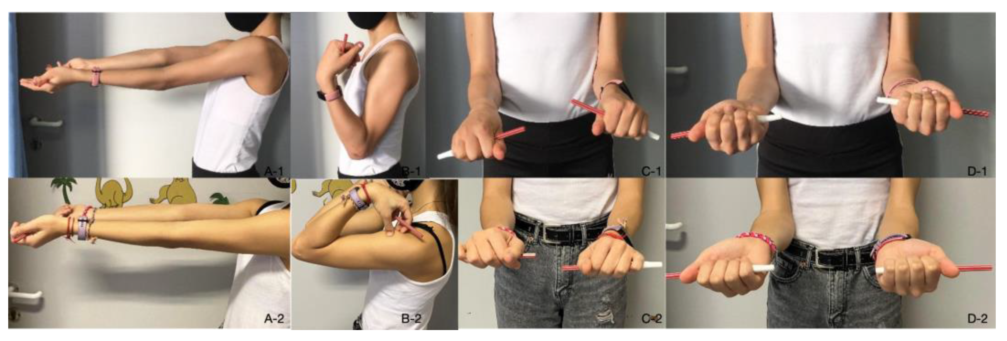 Preprints 114146 g010