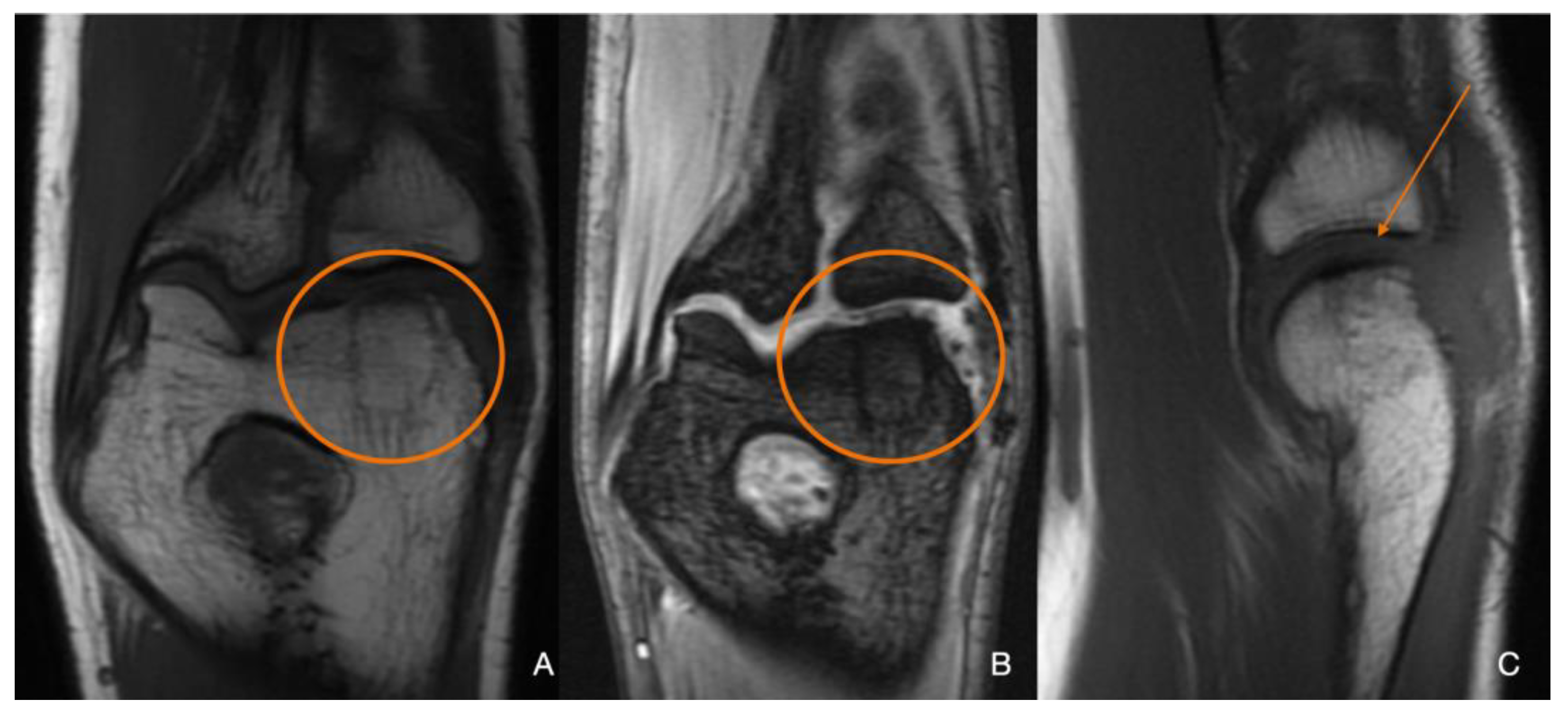 Preprints 114146 g011