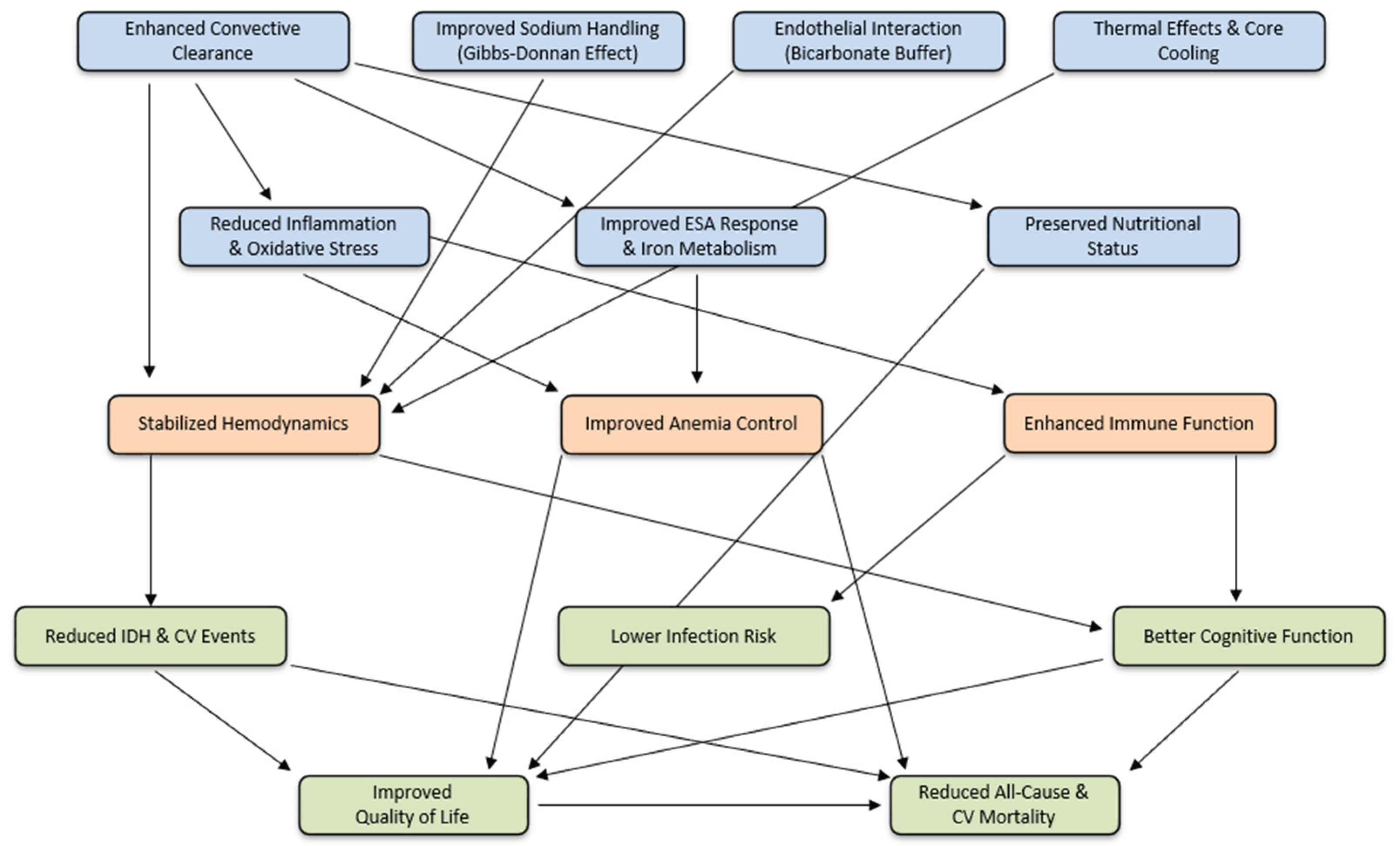 Preprints 162917 g001