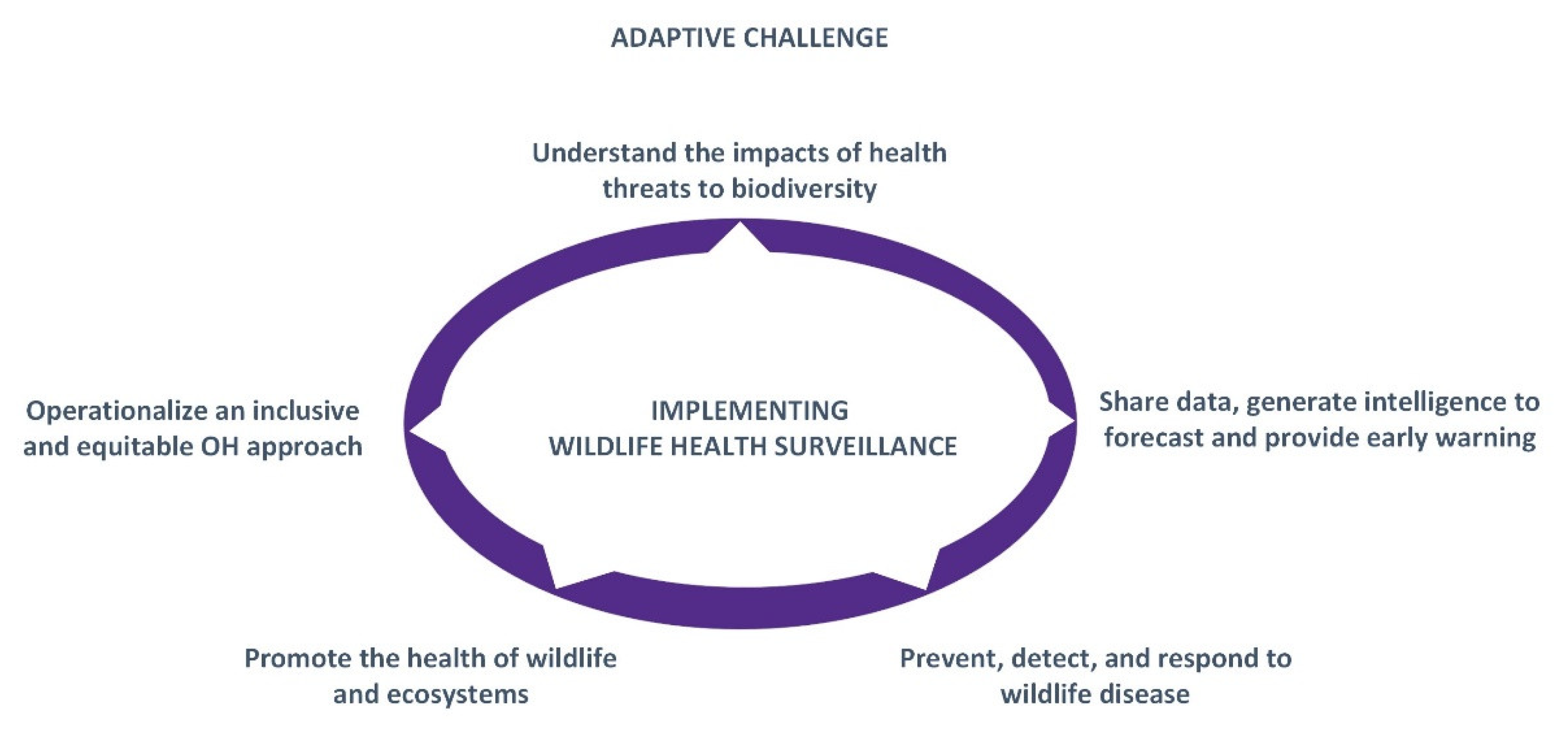 Preprints 111952 g003