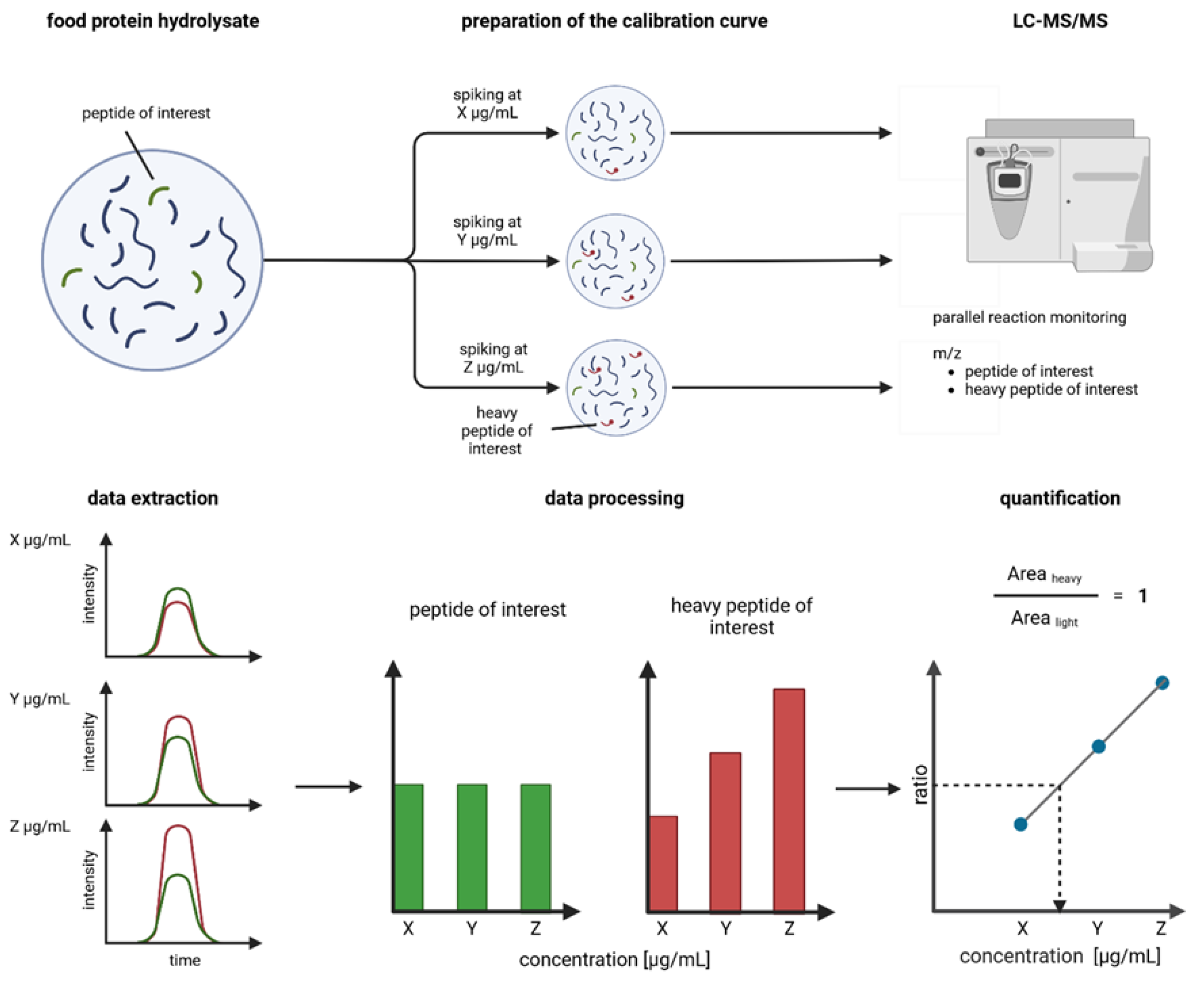 Preprints 150498 g001