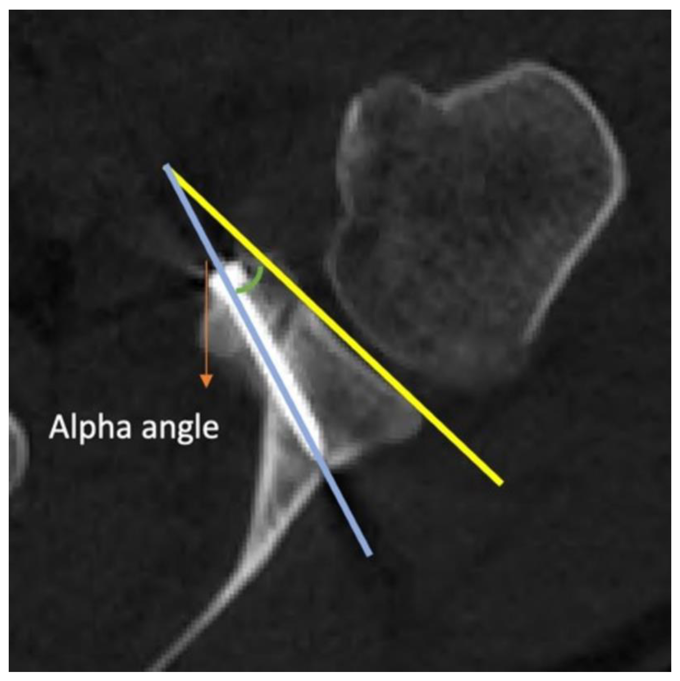 Preprints 142285 g001