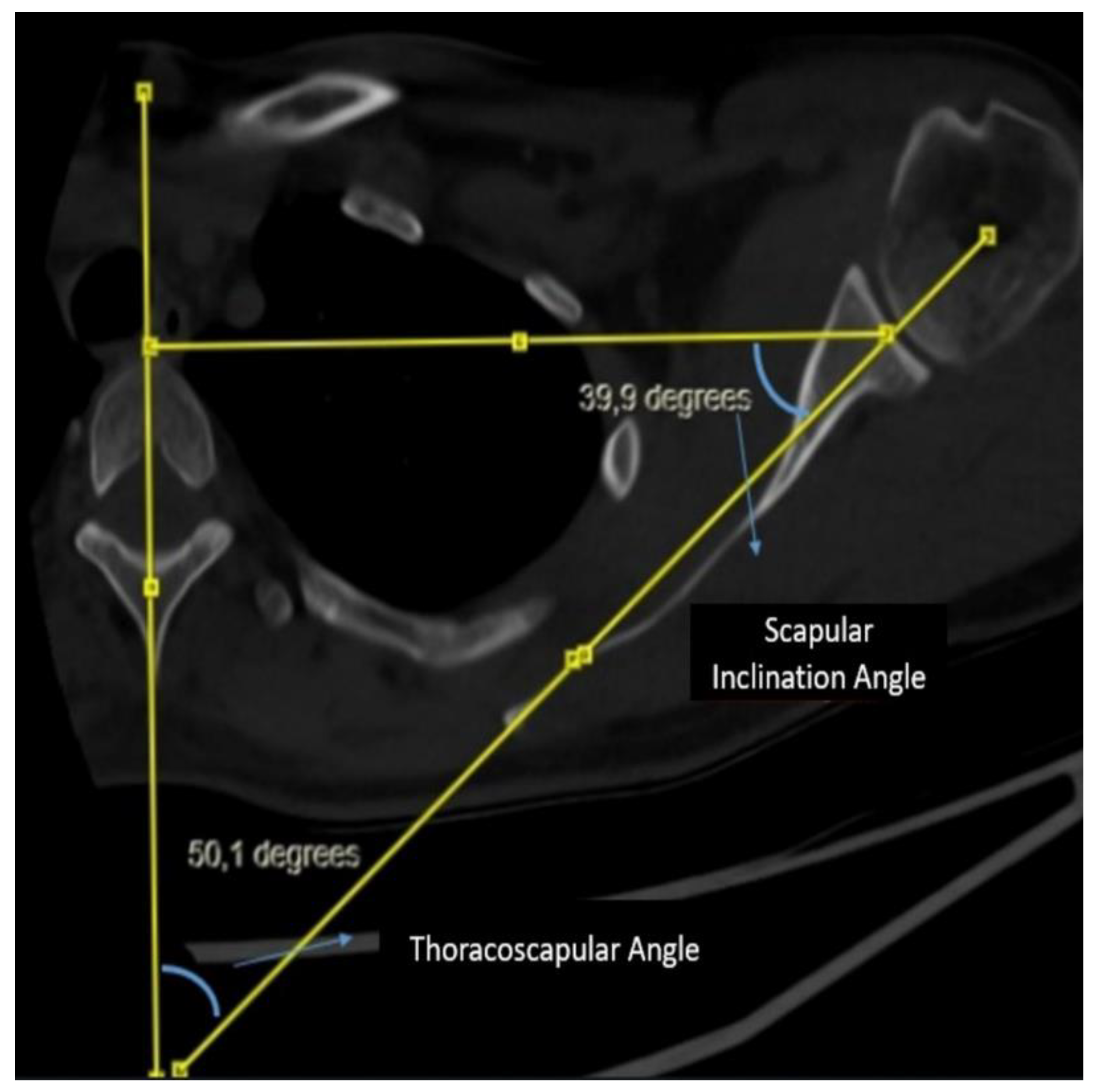 Preprints 142285 g002