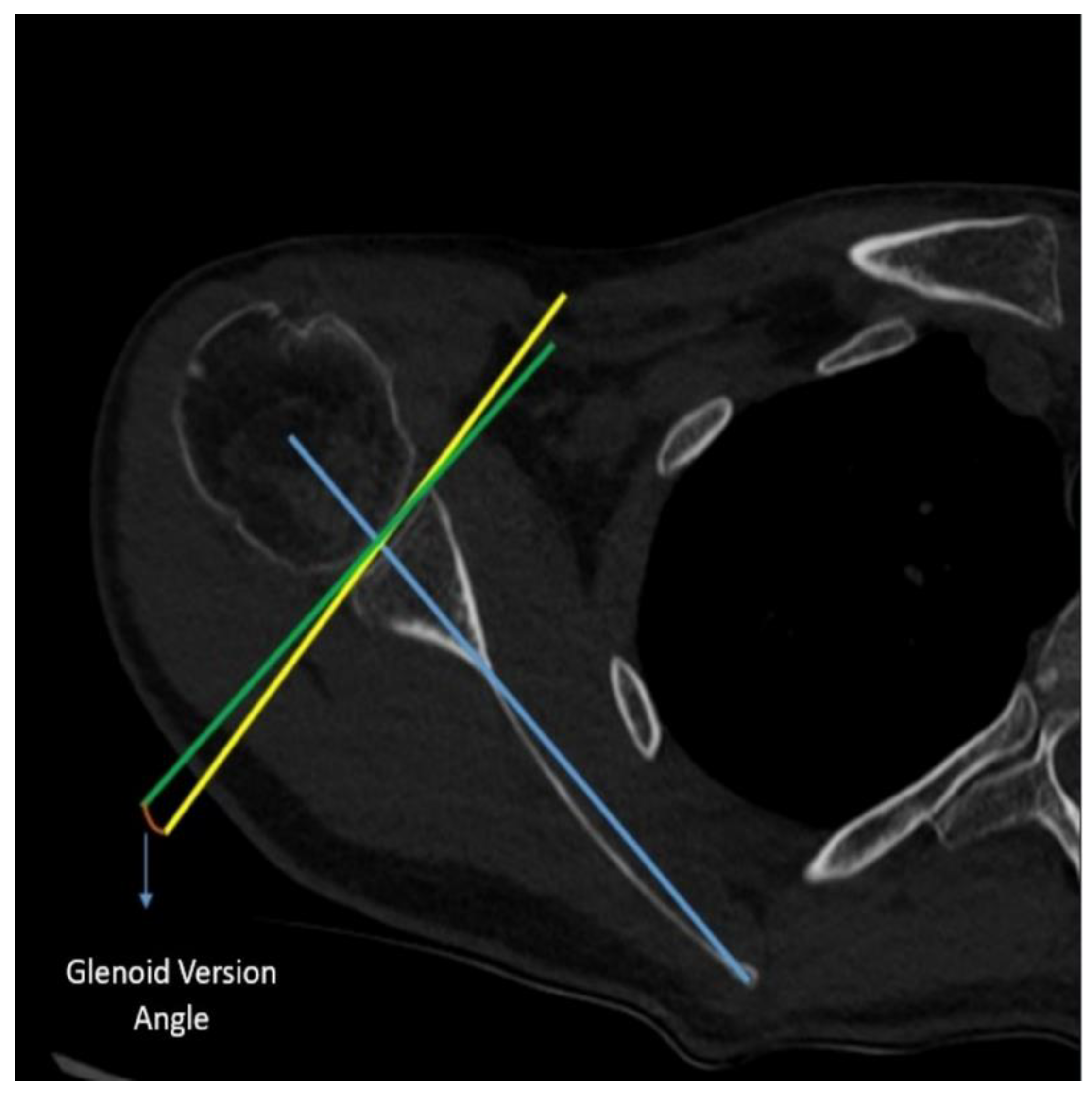 Preprints 142285 g003