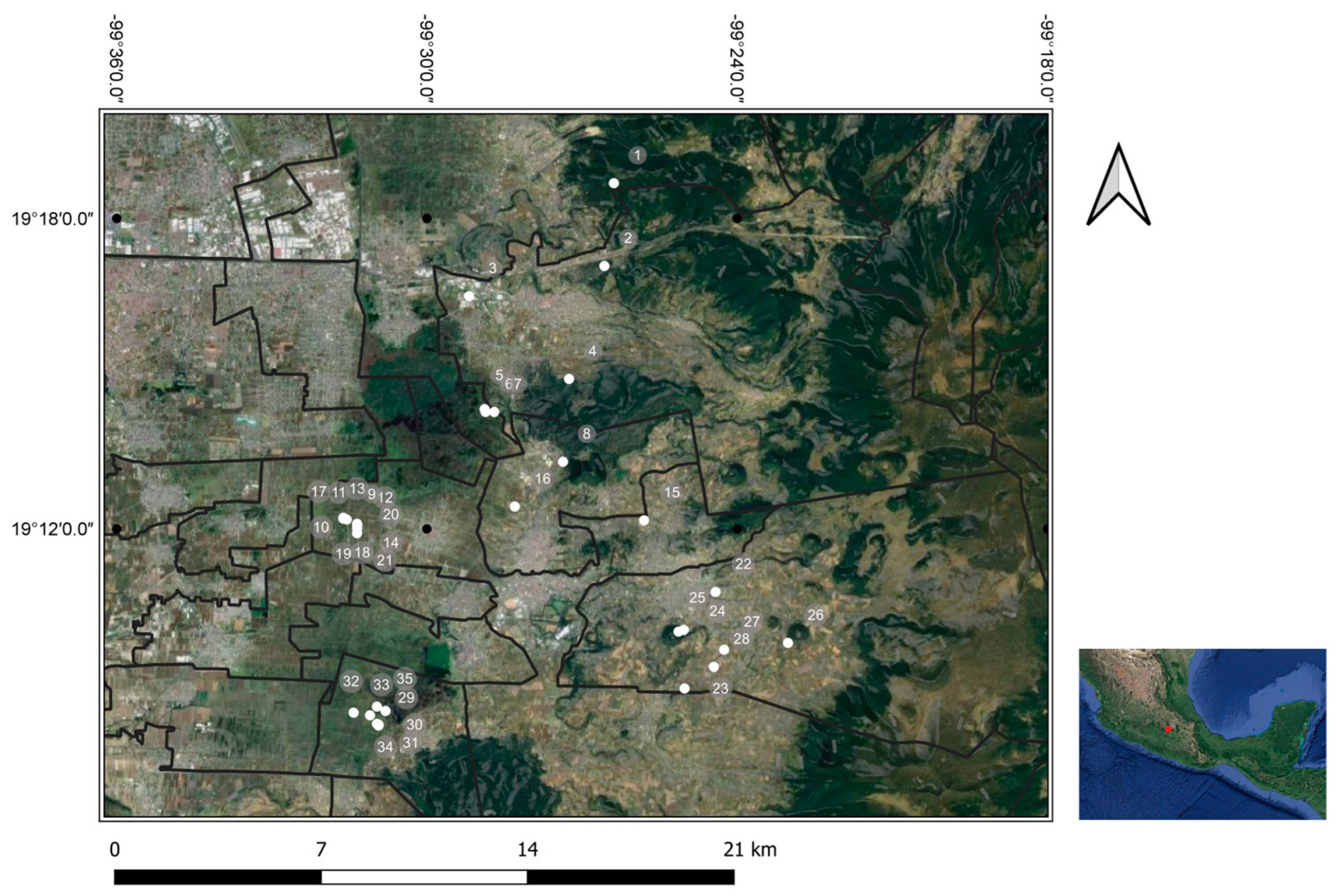 Preprints 80574 g001