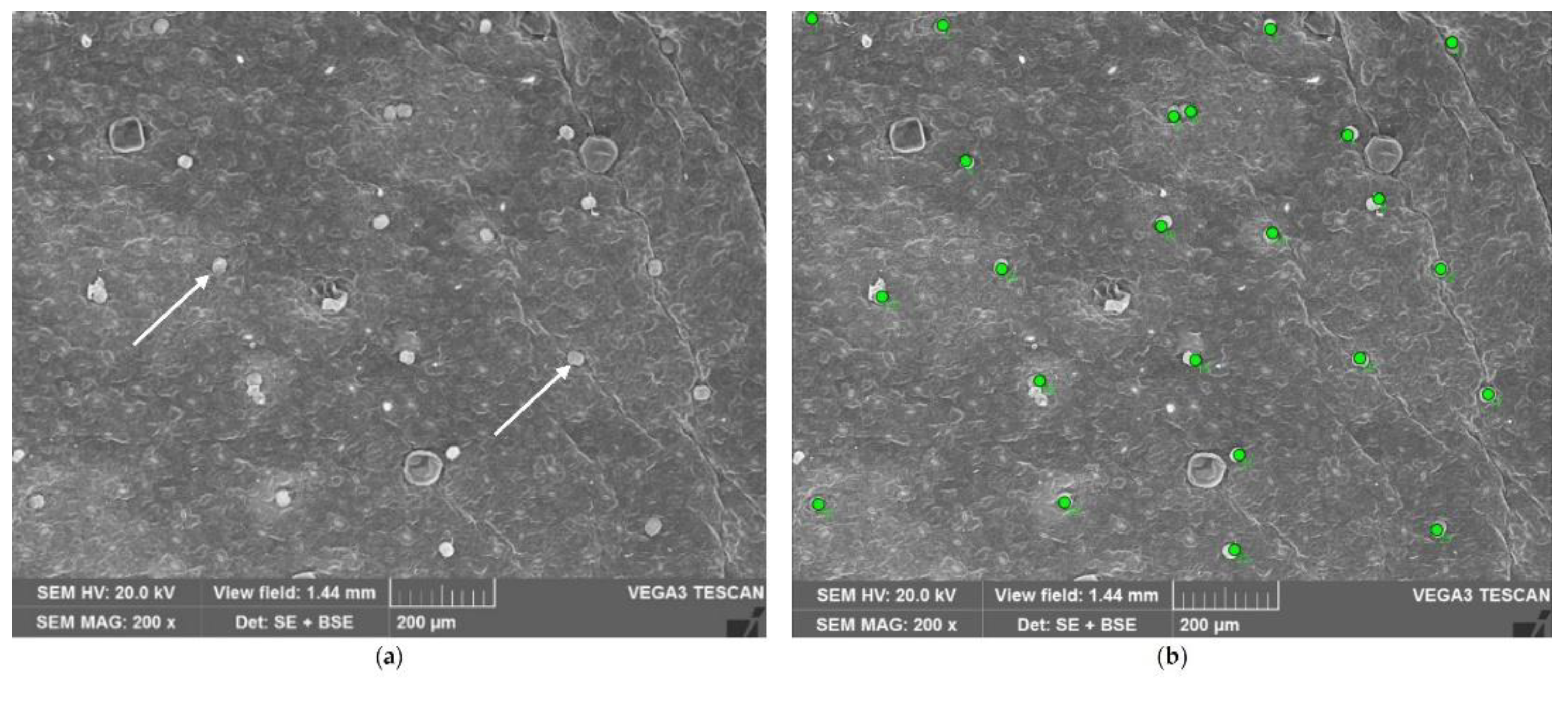 Preprints 142867 g010