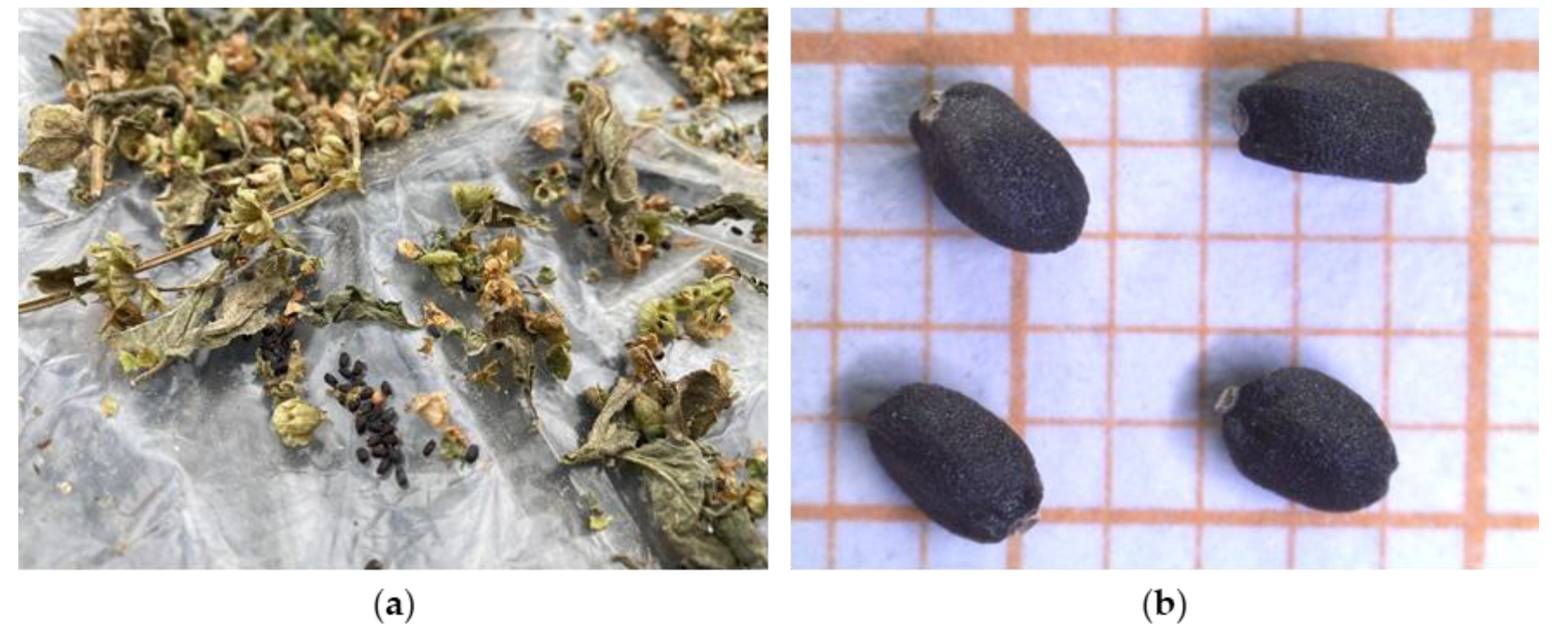 Preprints 142867 g011