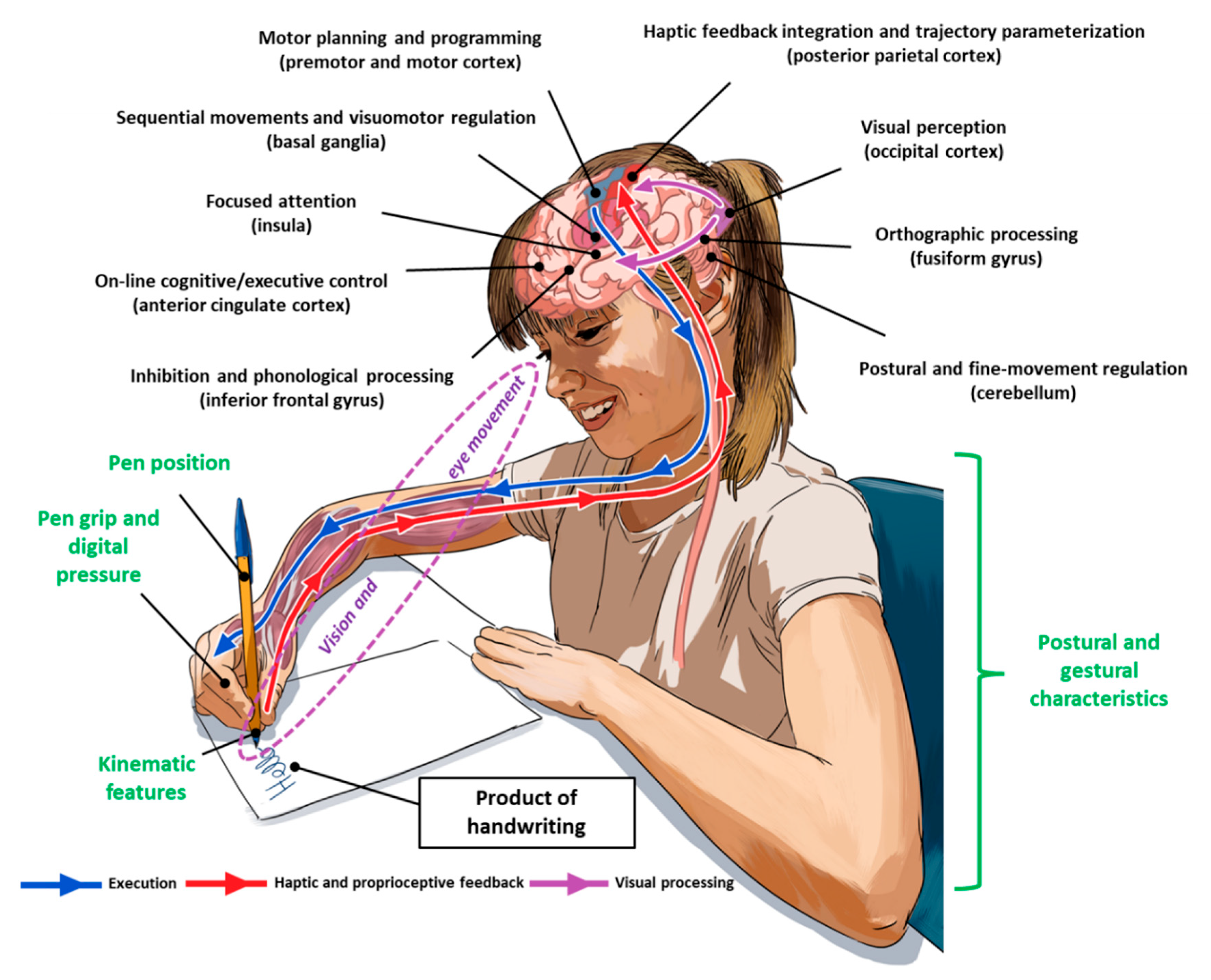 Preprints 91697 g001