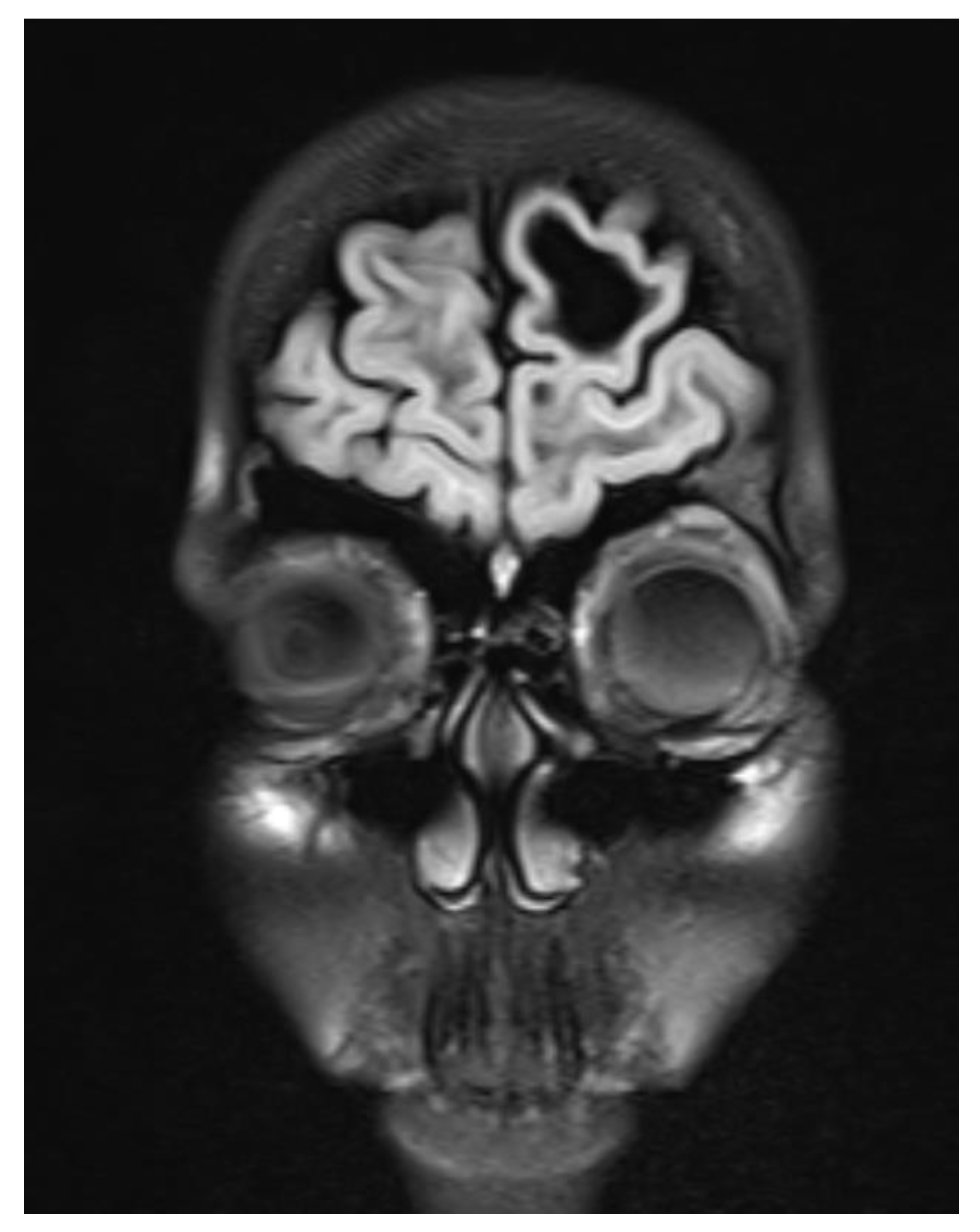 Preprints 93535 g002