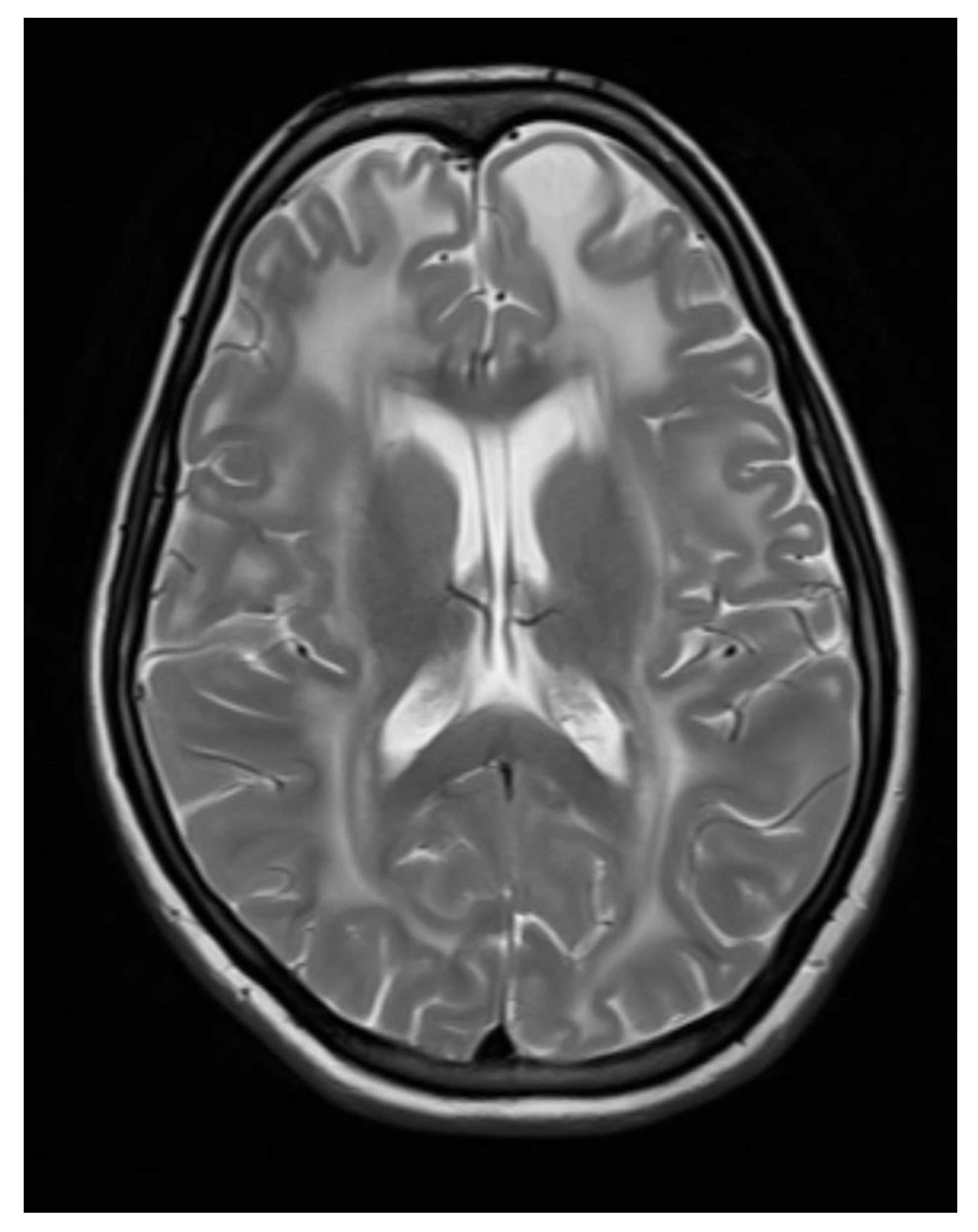 Preprints 93535 g004