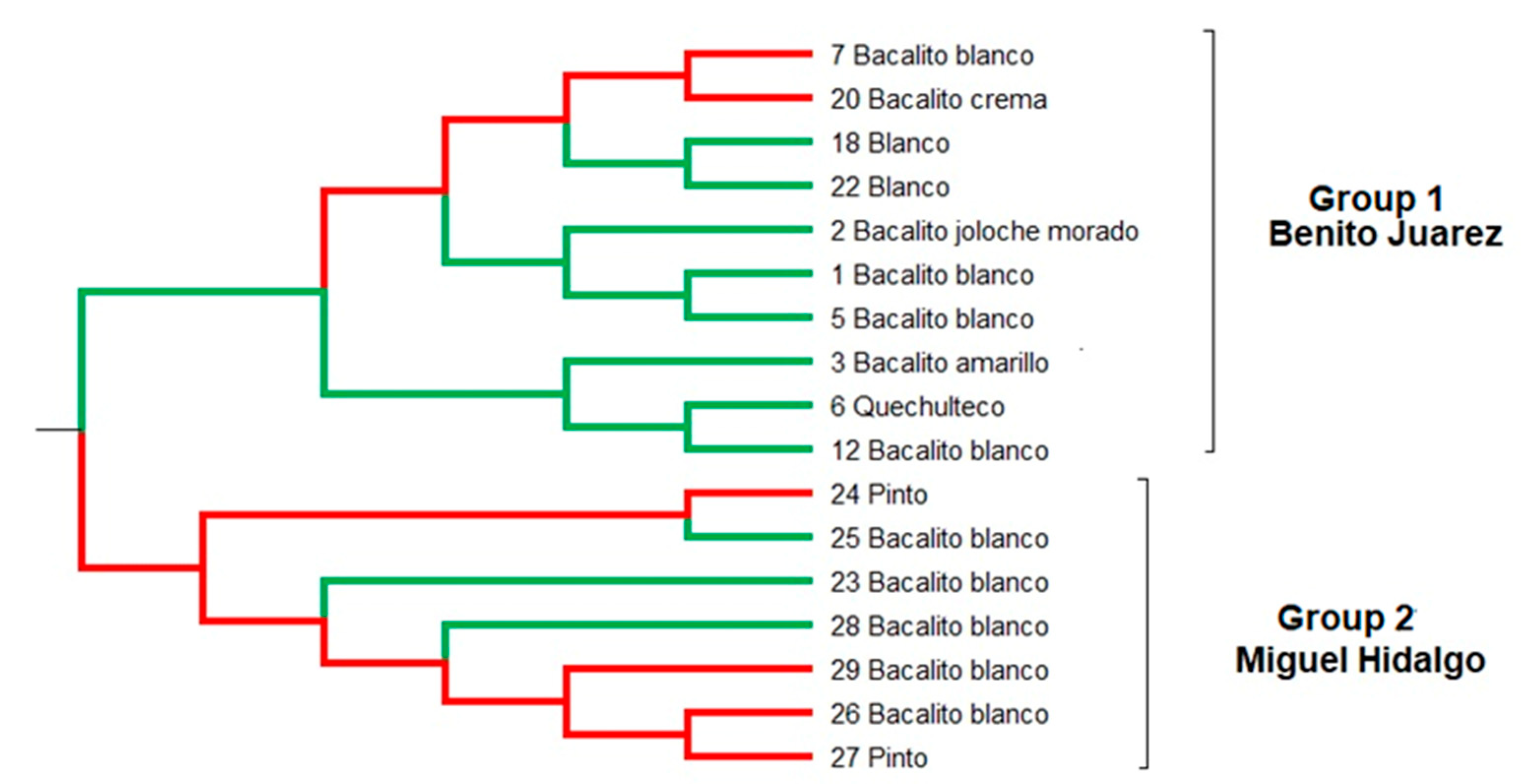 Preprints 145470 g004