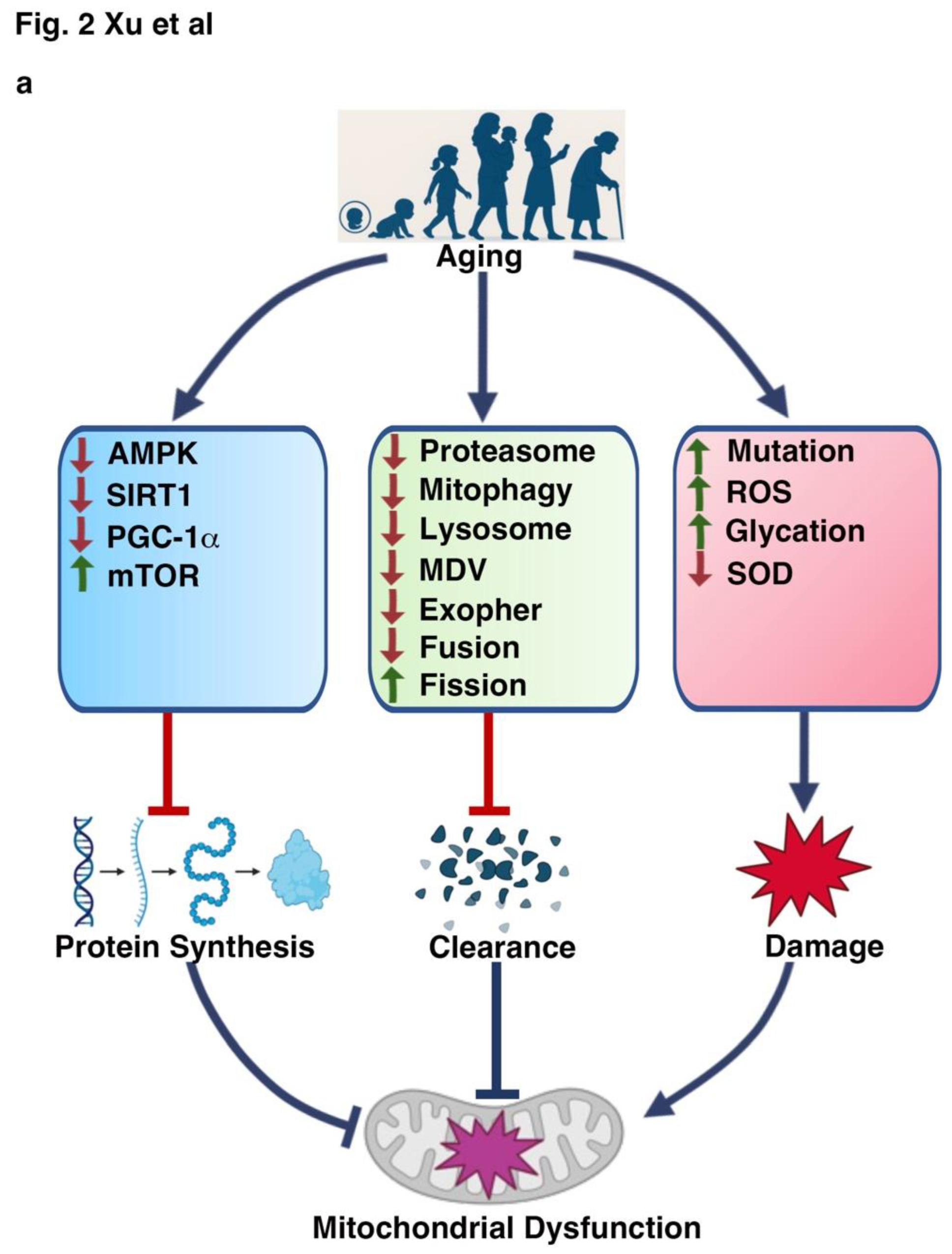 Preprints 169480 g002