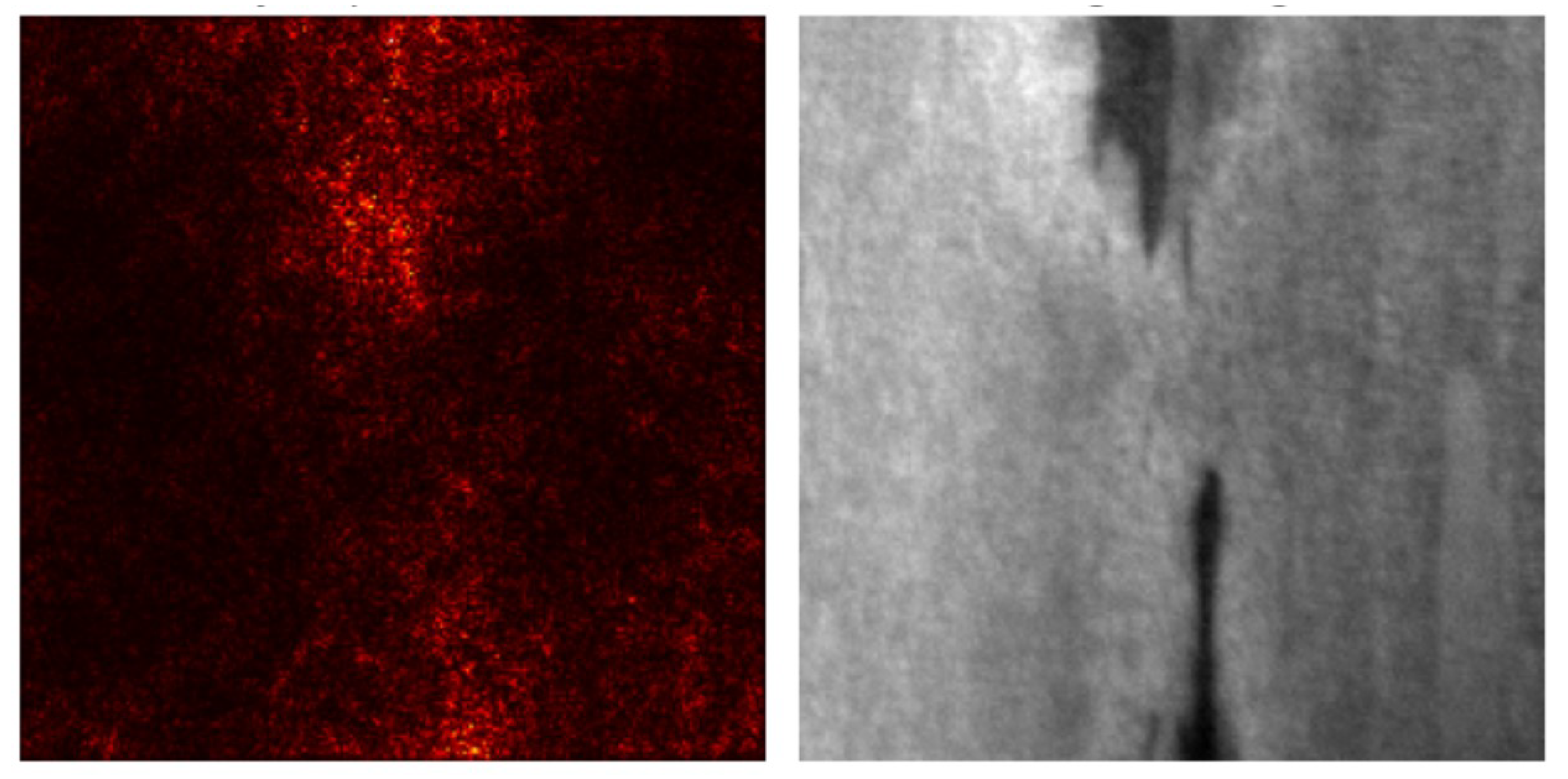 Preprints 186929 g002