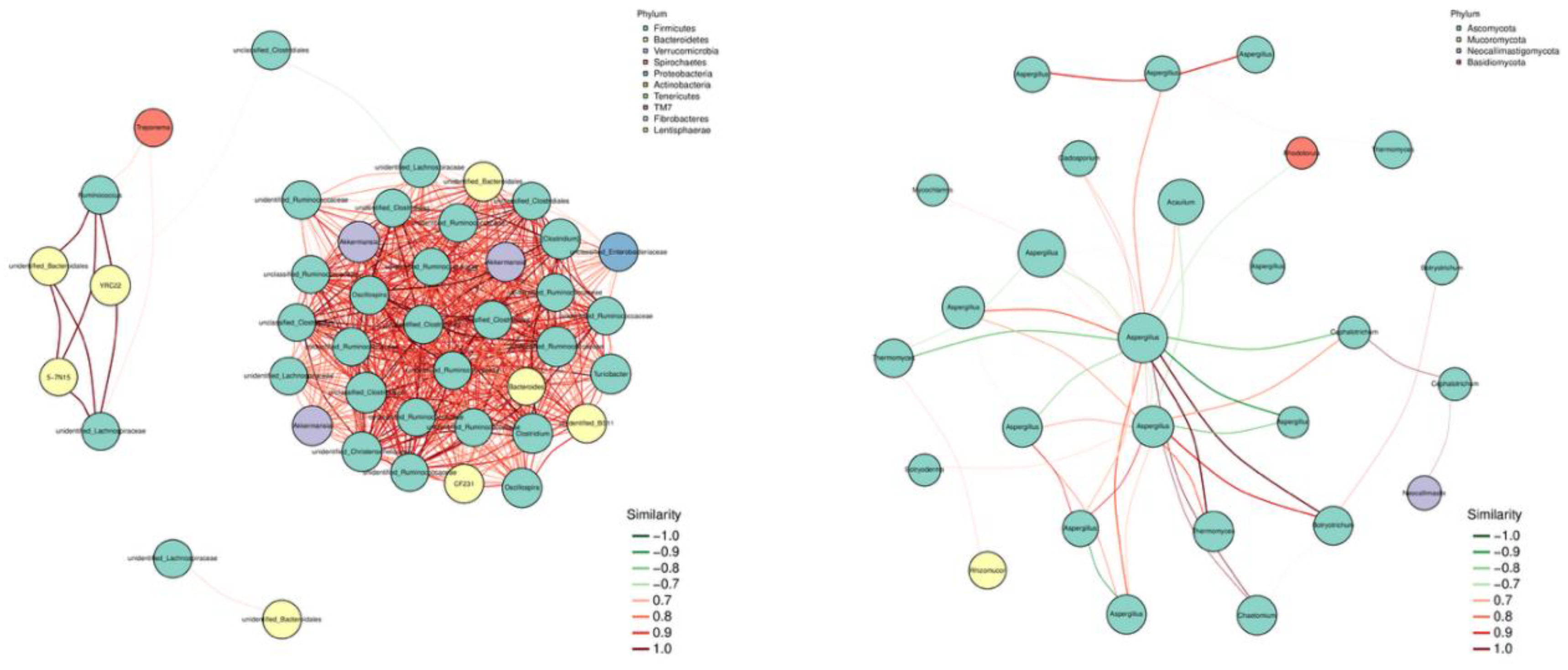 Preprints 188275 g006