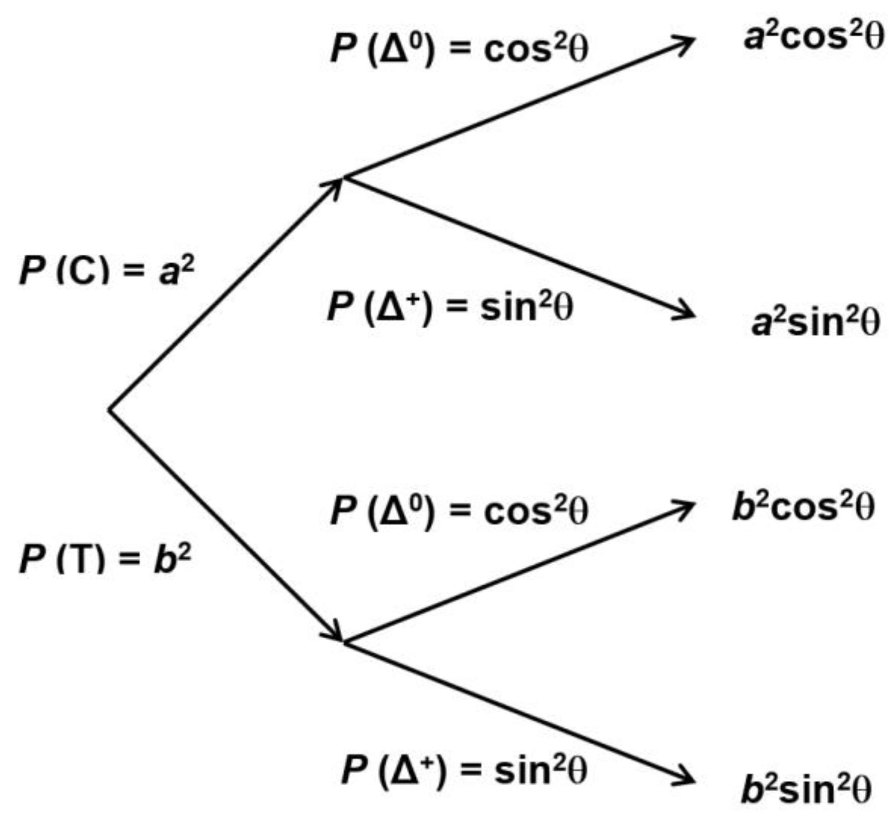 Preprints 92638 g003