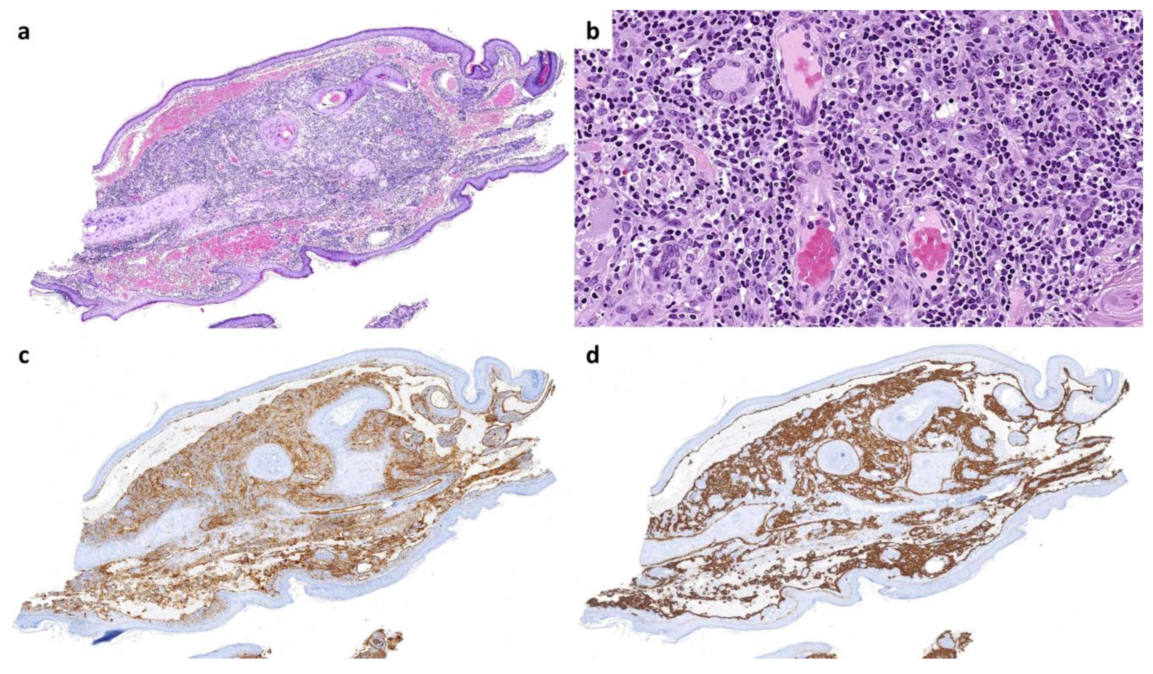 Preprints 149533 g002
