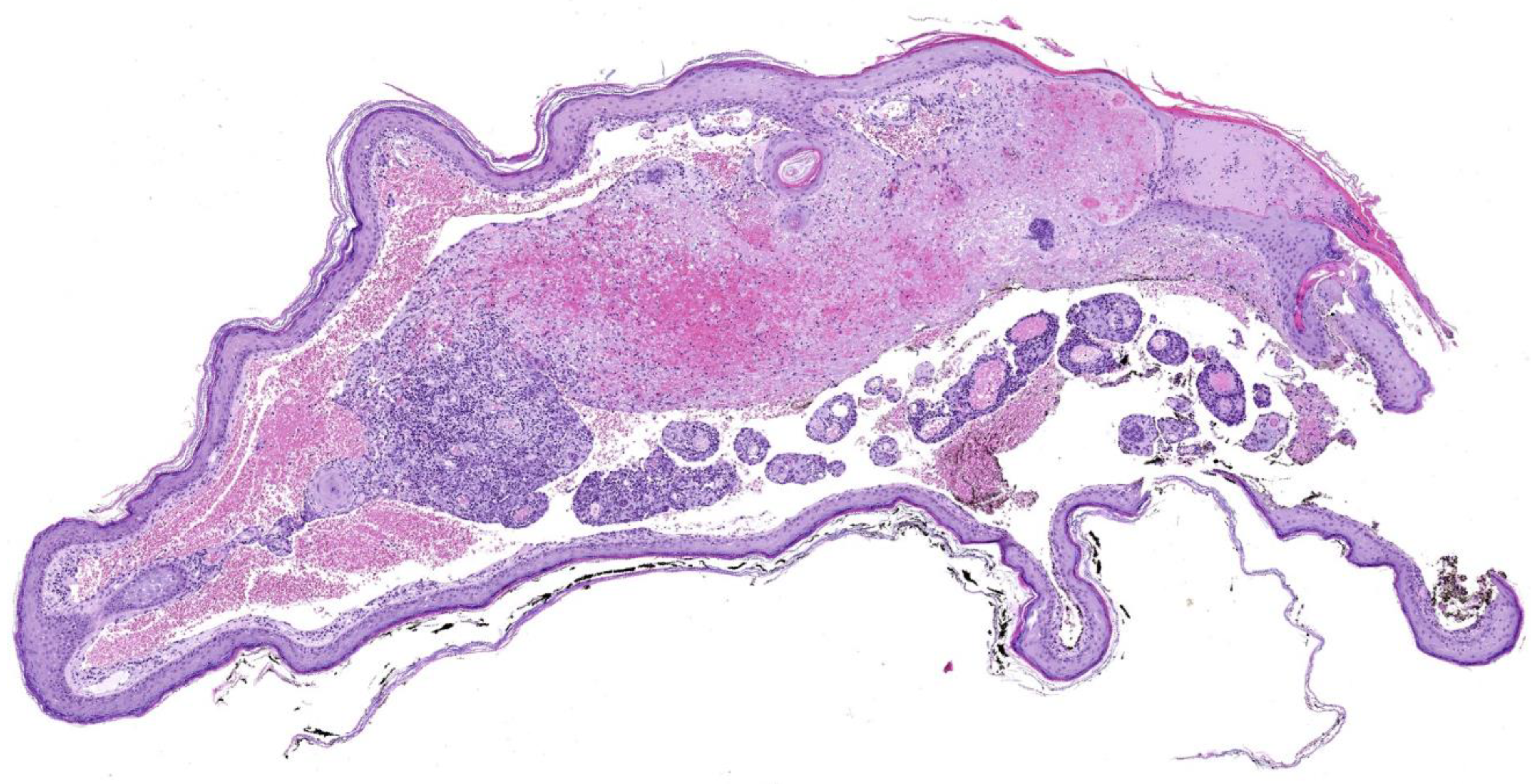 Preprints 149533 g003