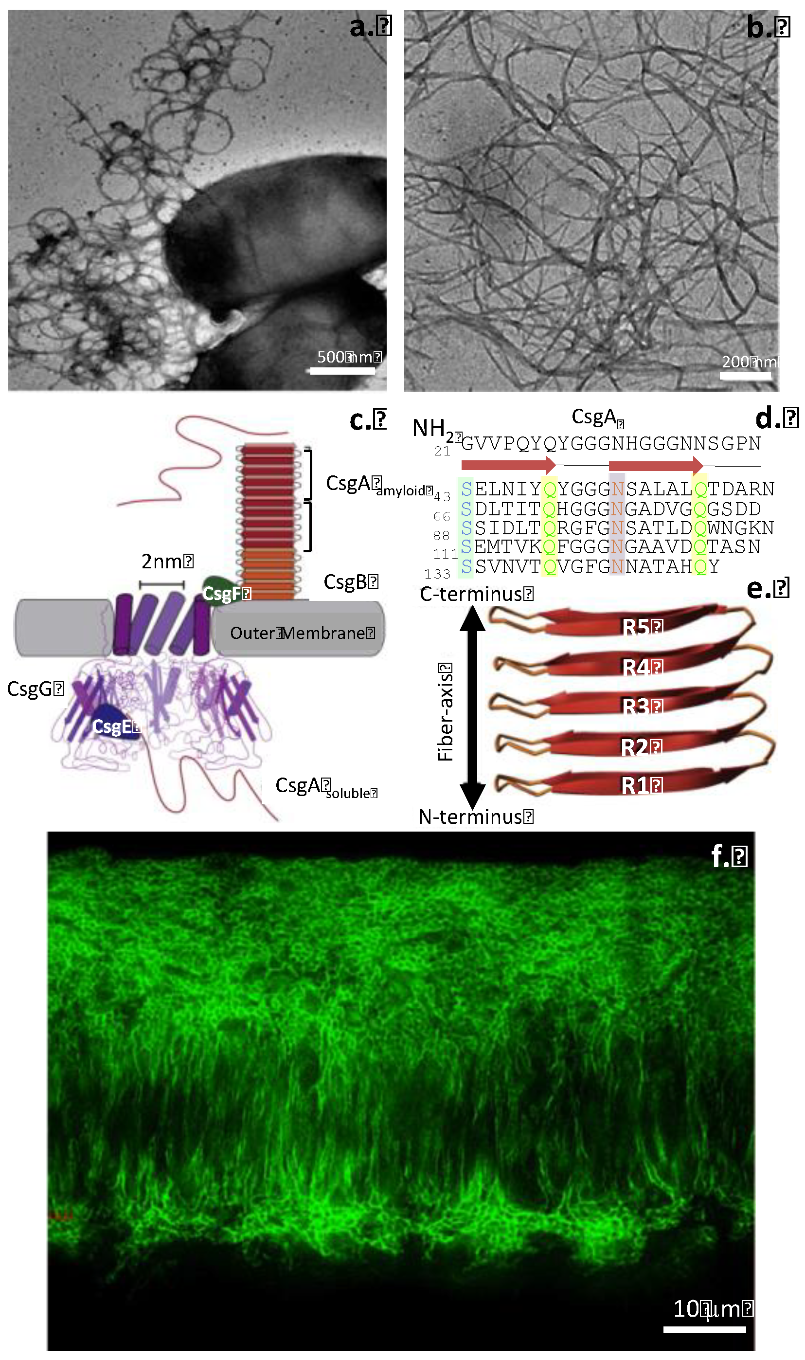 Preprints 109553 g001