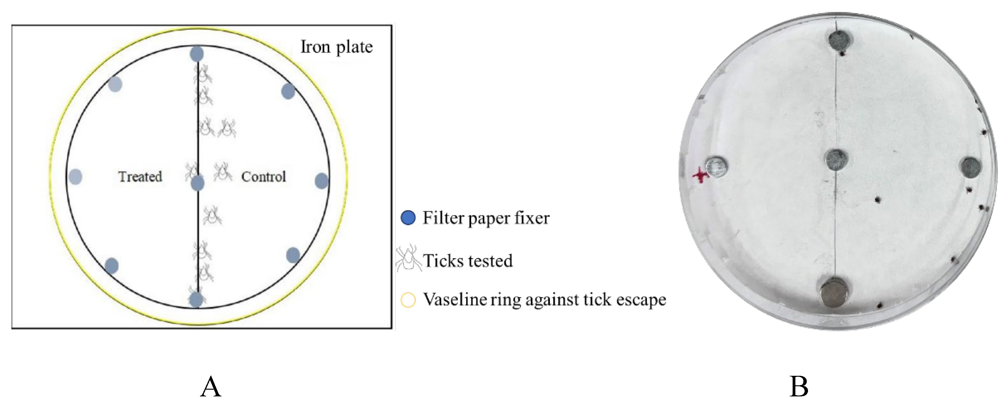 Preprints 153499 i001