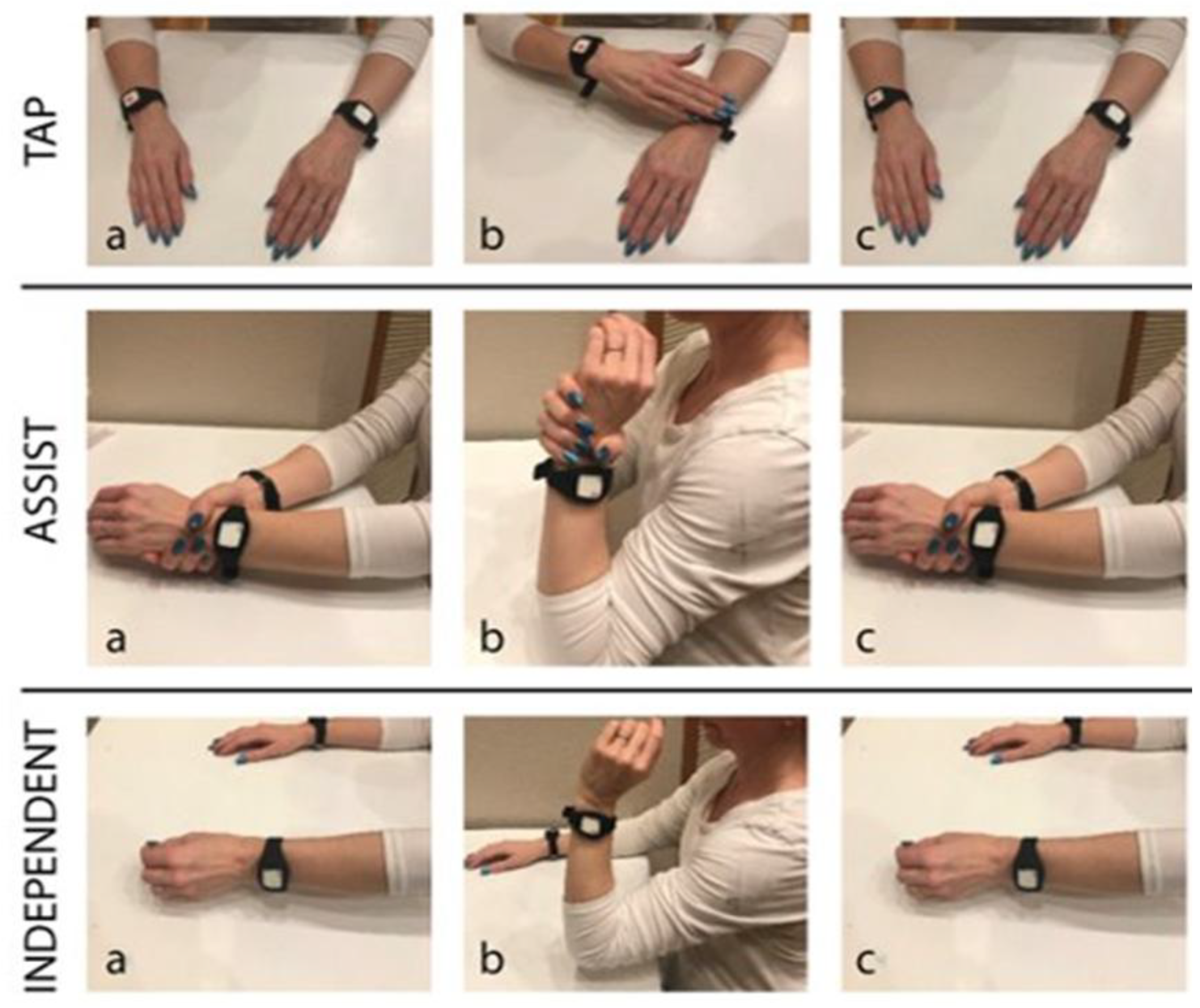 Preprints 149419 g003