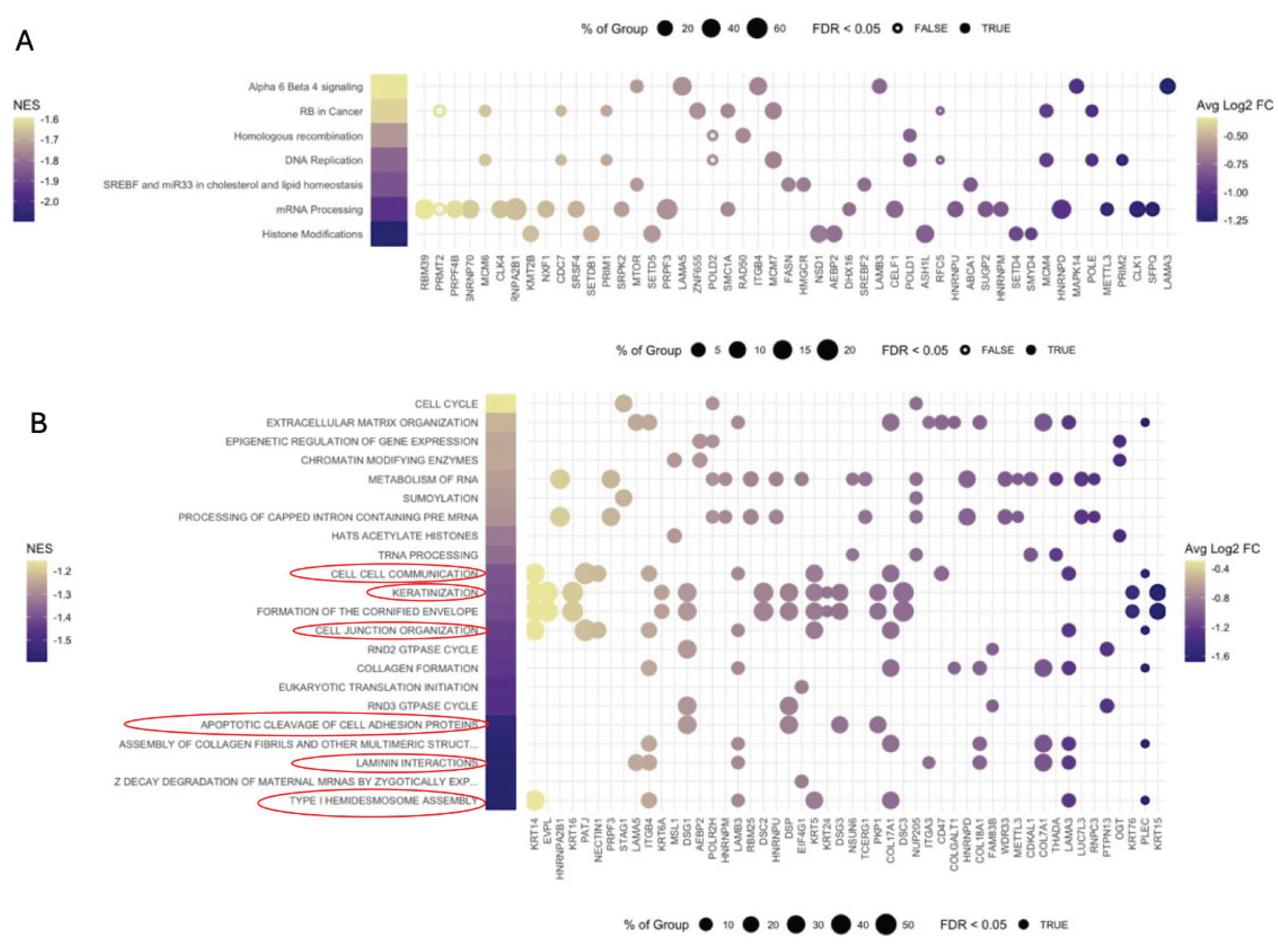 Preprints 233415 g002 Preprints 233415 g002