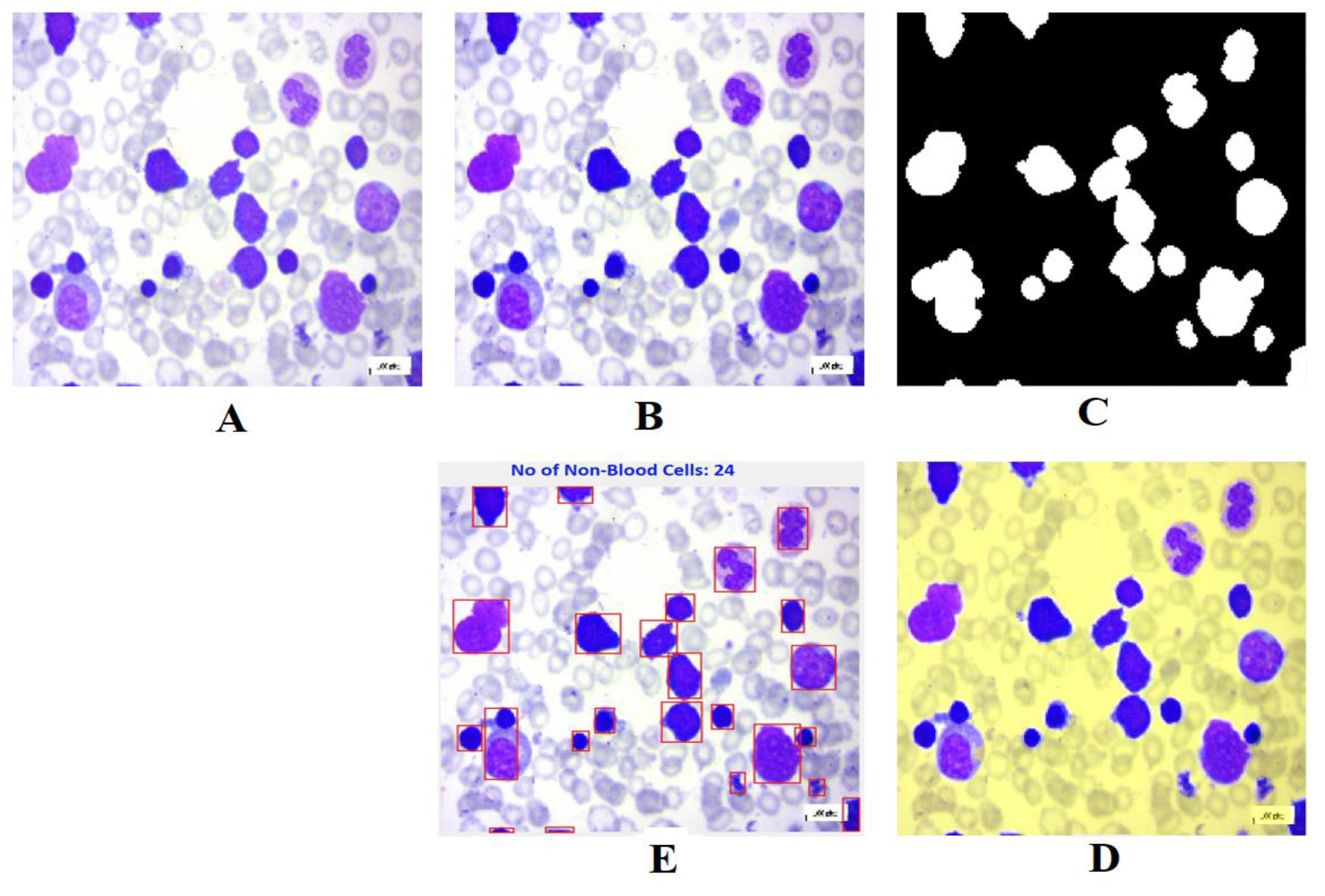 Preprints 105159 g008