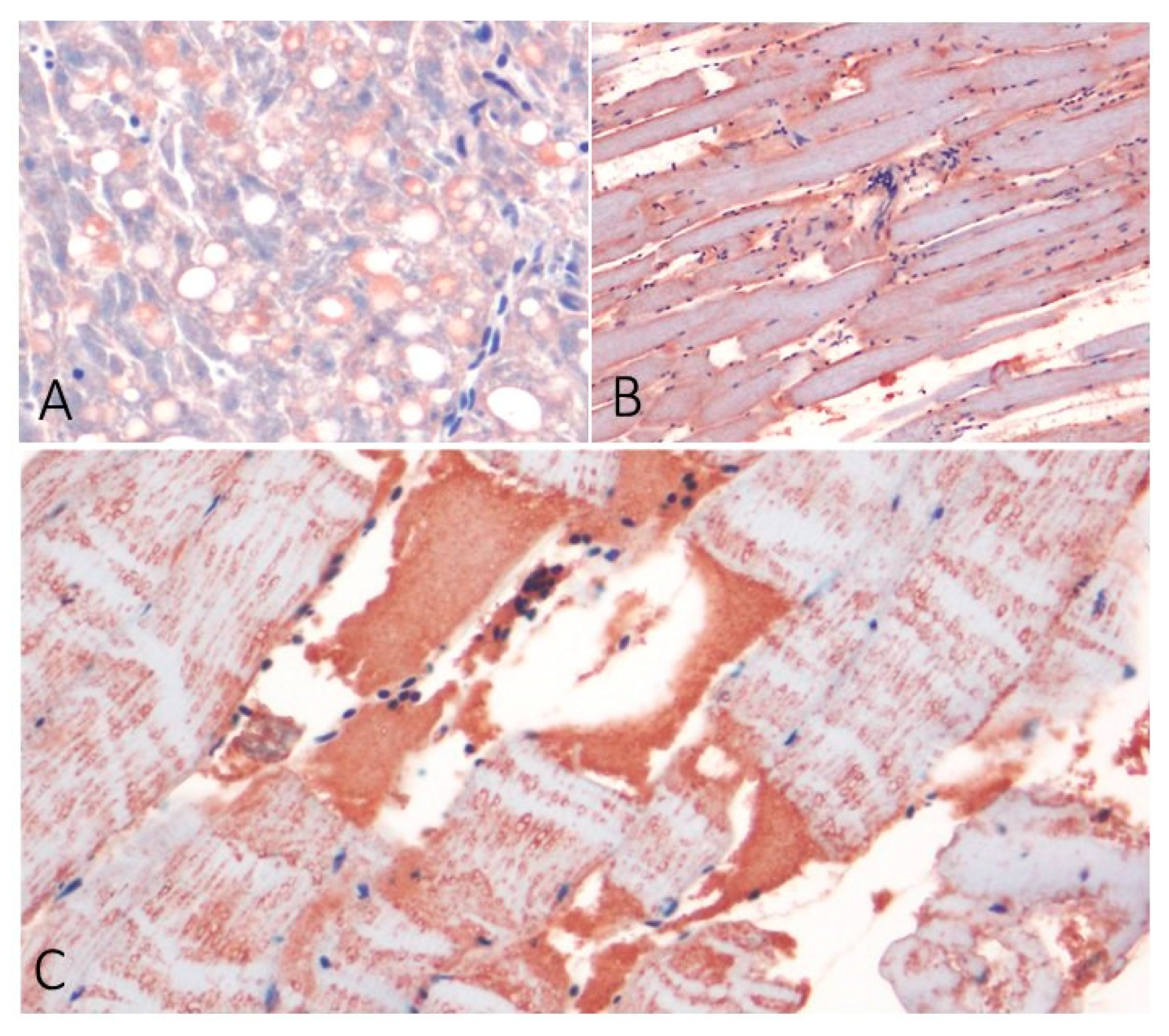 Preprints 104756 g003