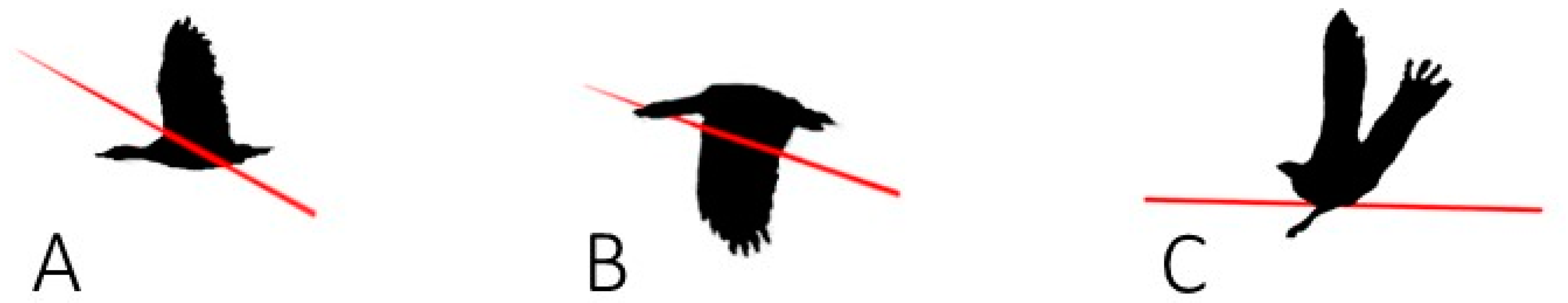 Preprints 104756 g005