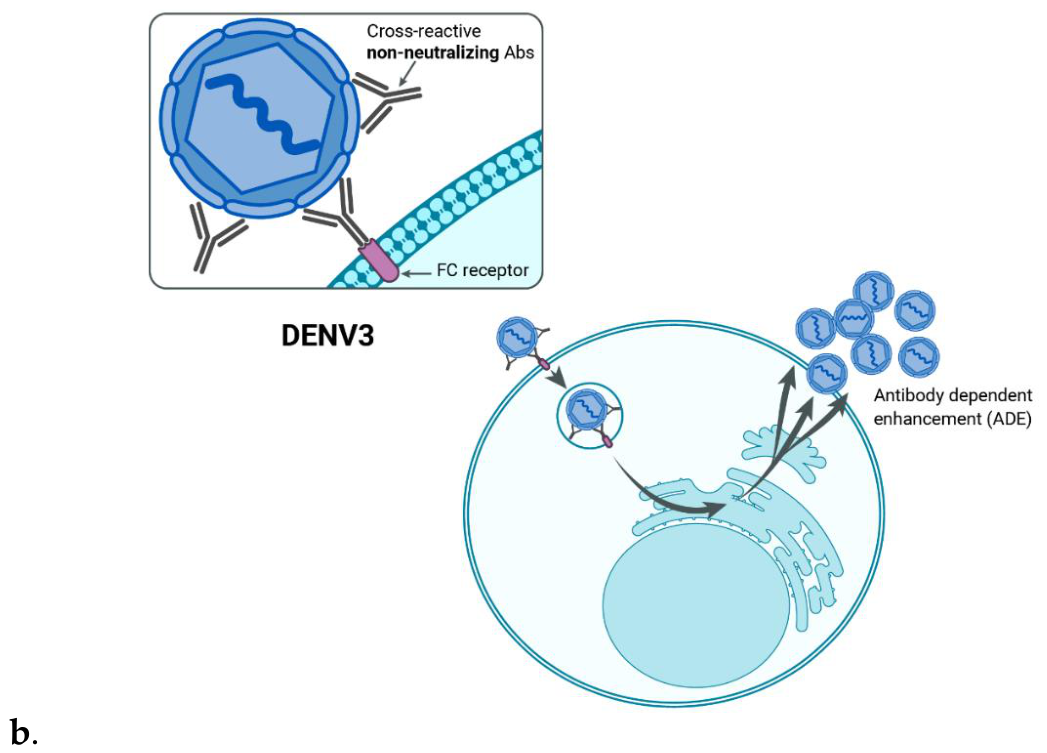 Preprints 221392 g003b