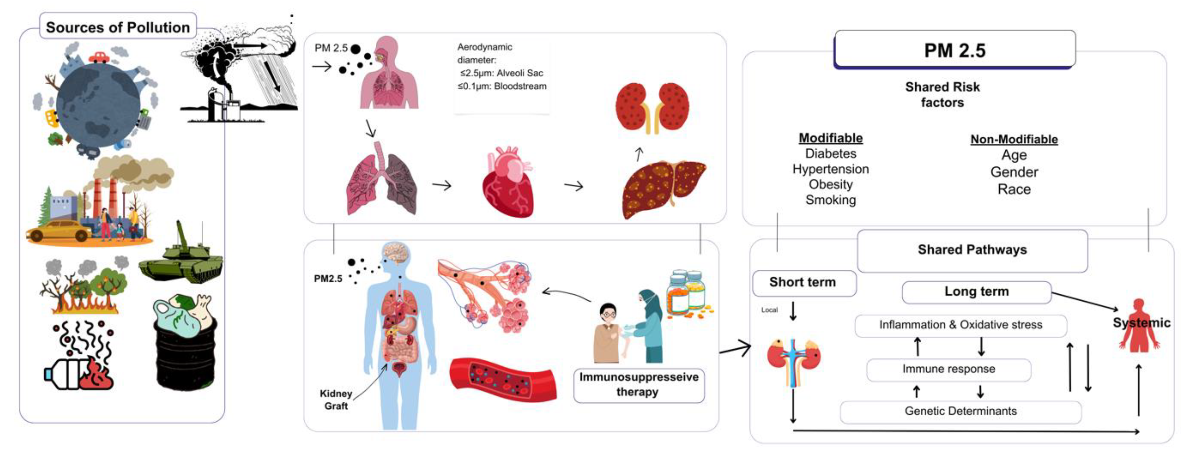 Preprints 152034 g001