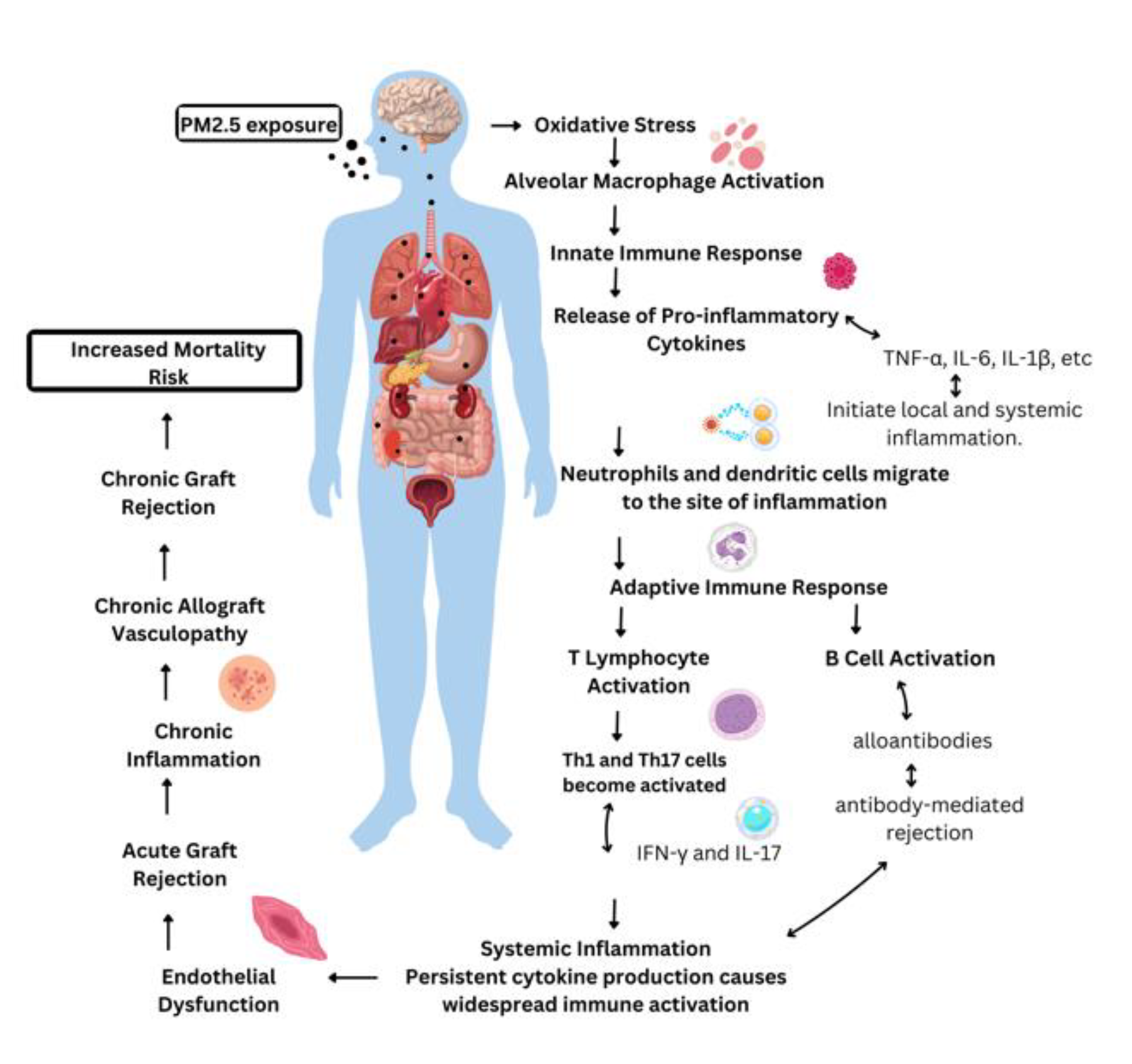Preprints 152034 g002