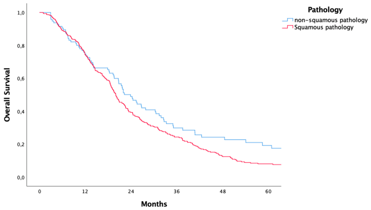 Preprints 231527 g003 Preprints 231527 g003