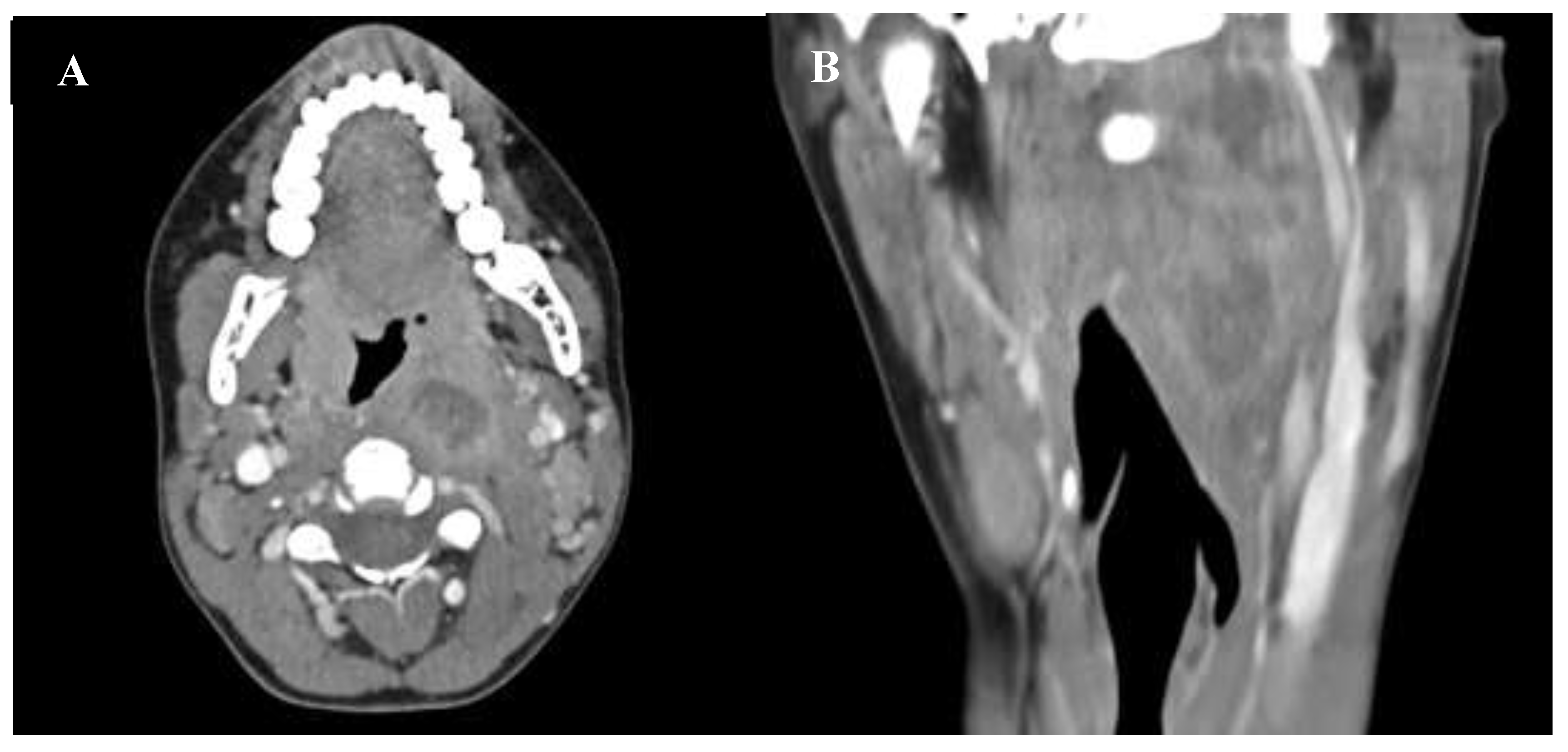 Preprints 195041 g002