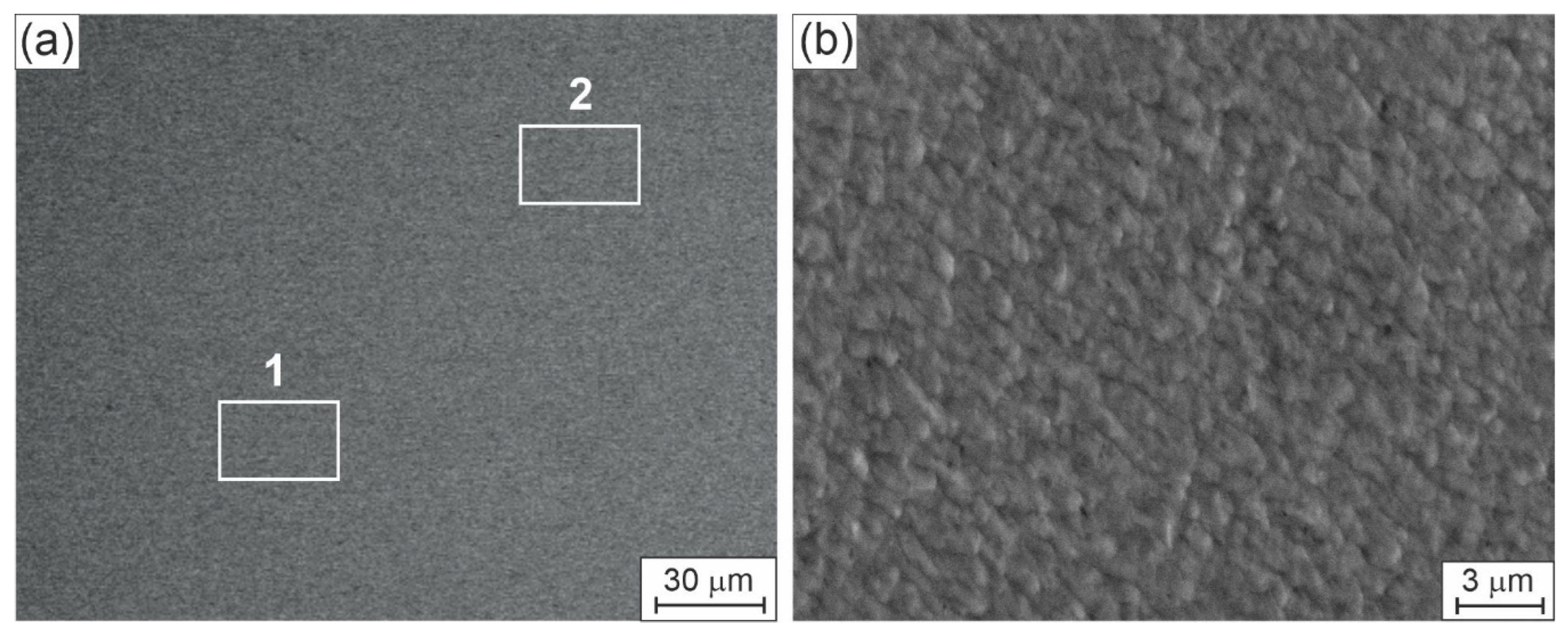 Preprints 172609 g001