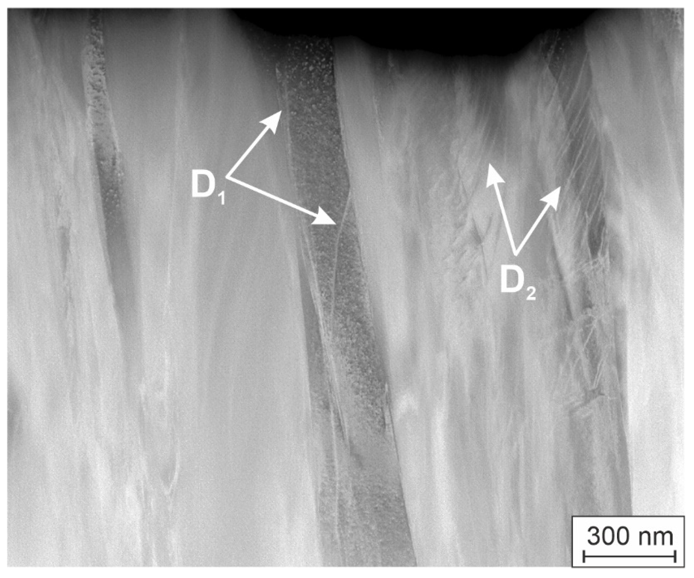 Preprints 172609 g003