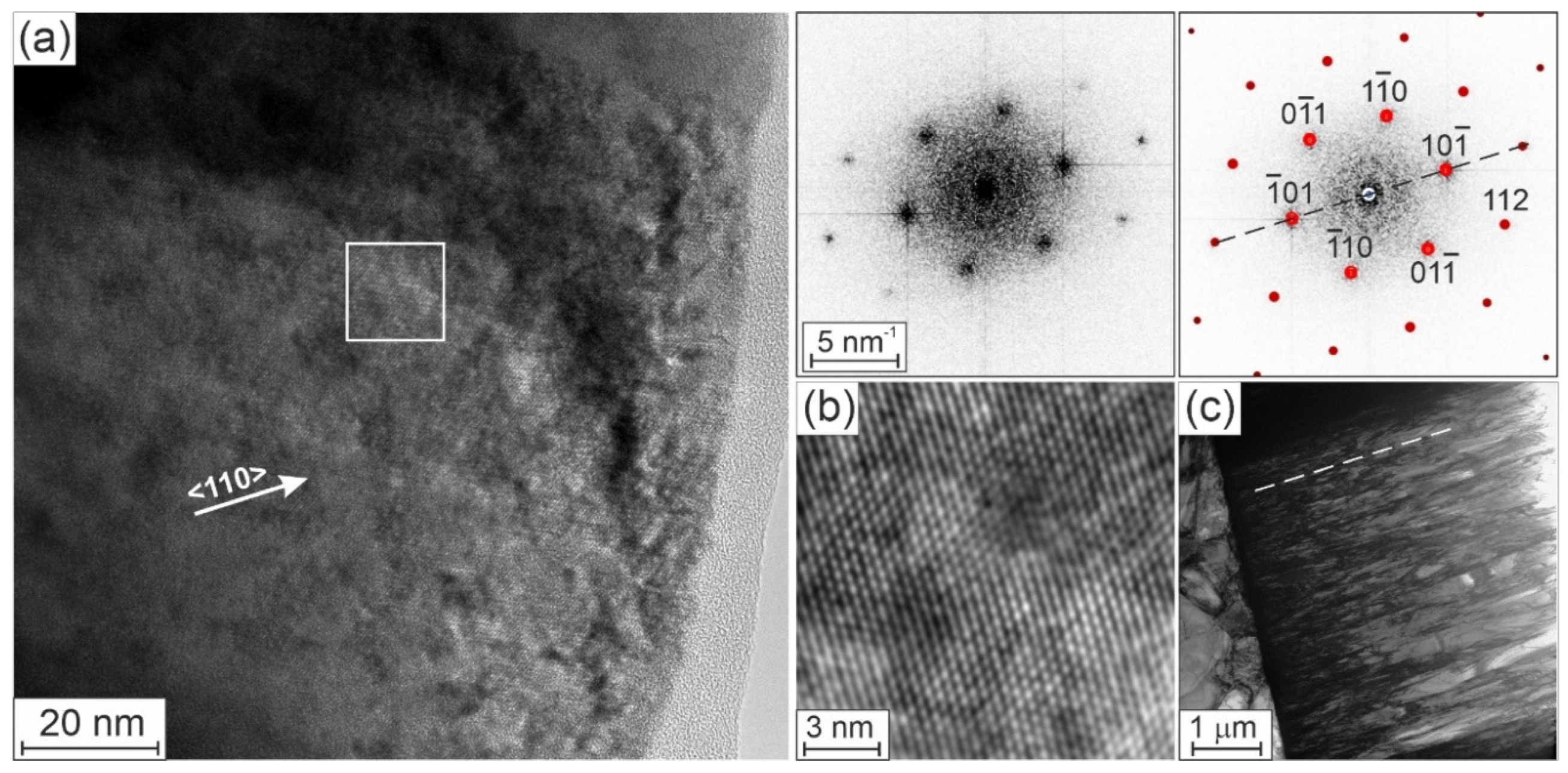 Preprints 172609 g004