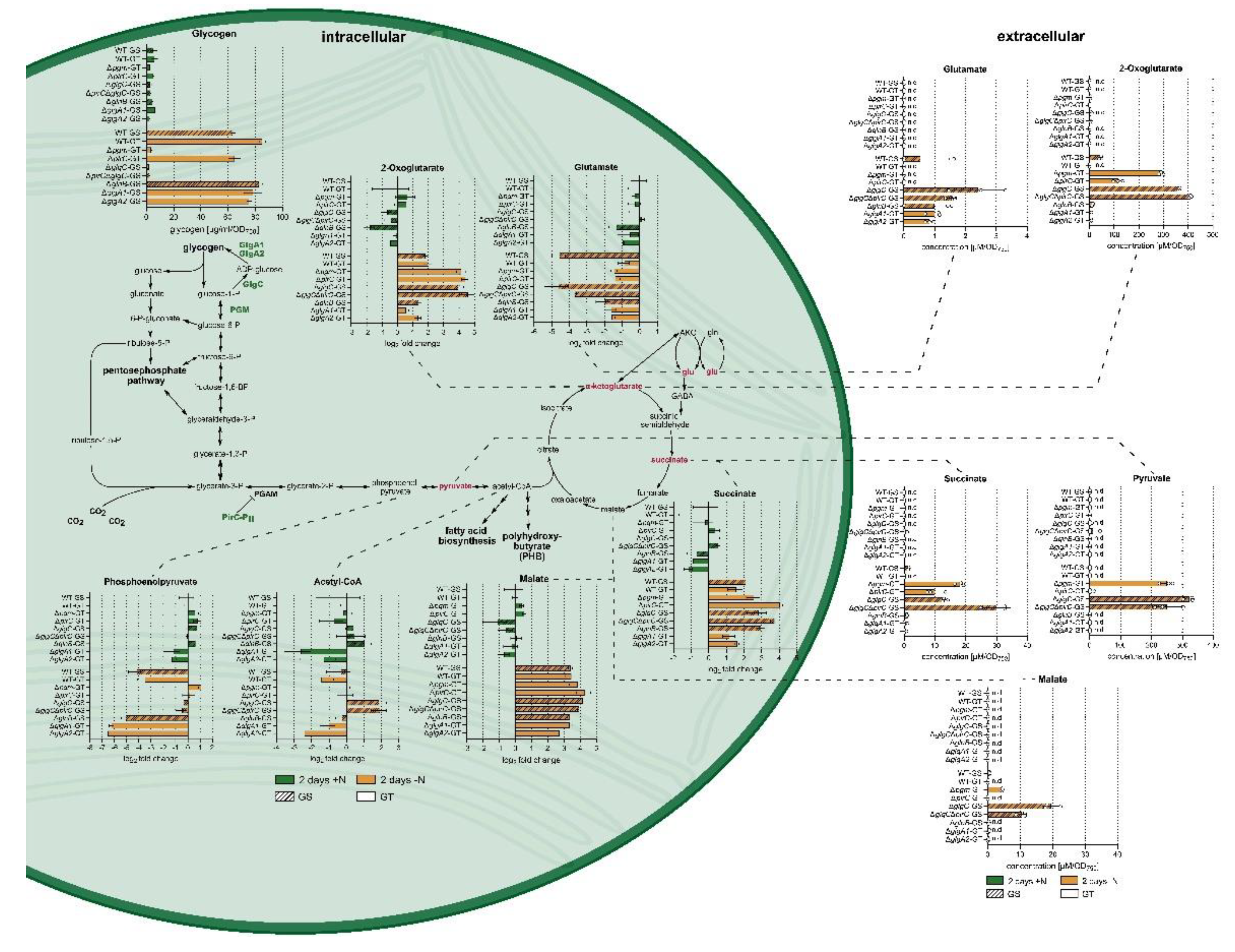 Preprints 185005 g001