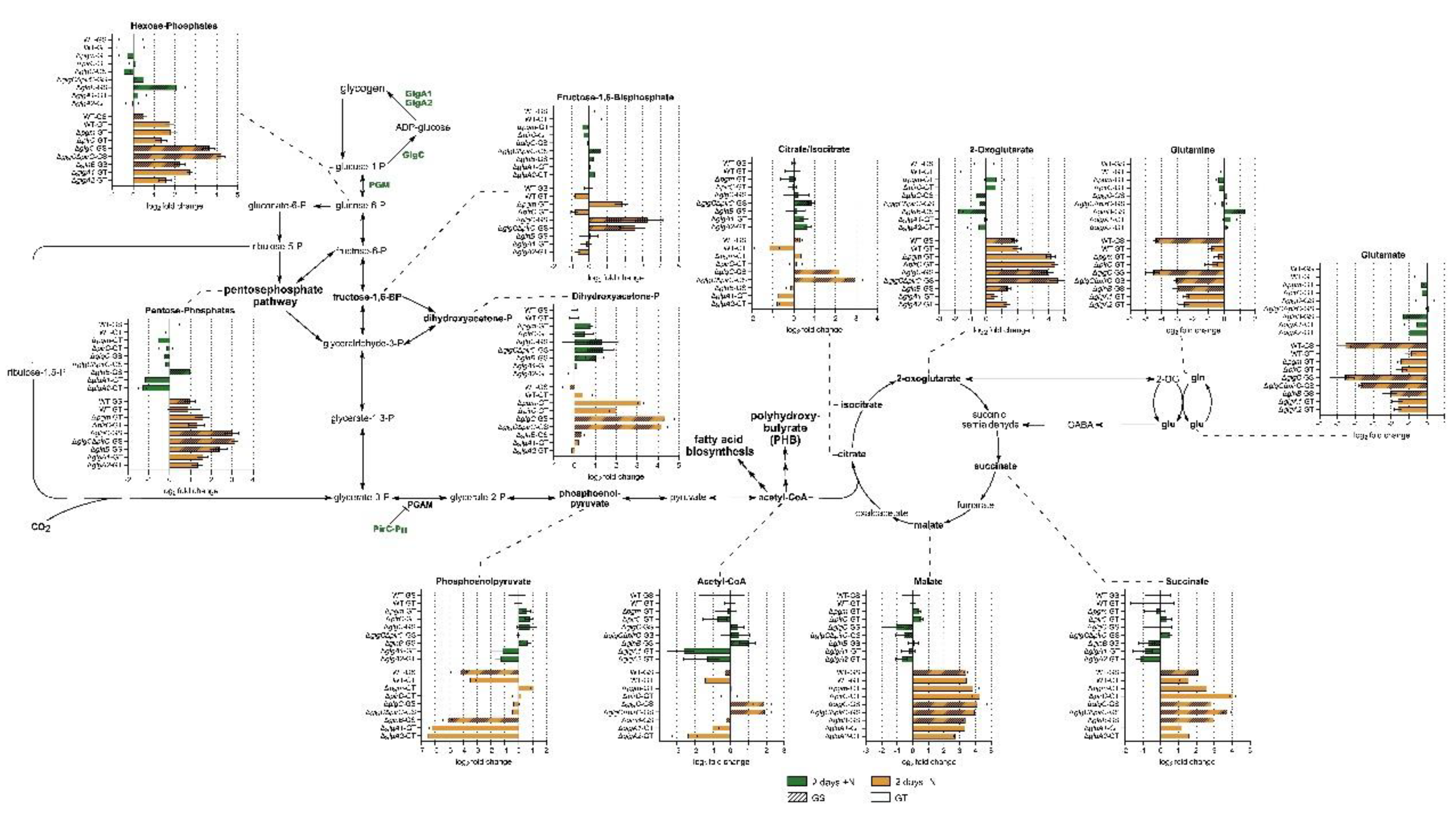 Preprints 185005 g002
